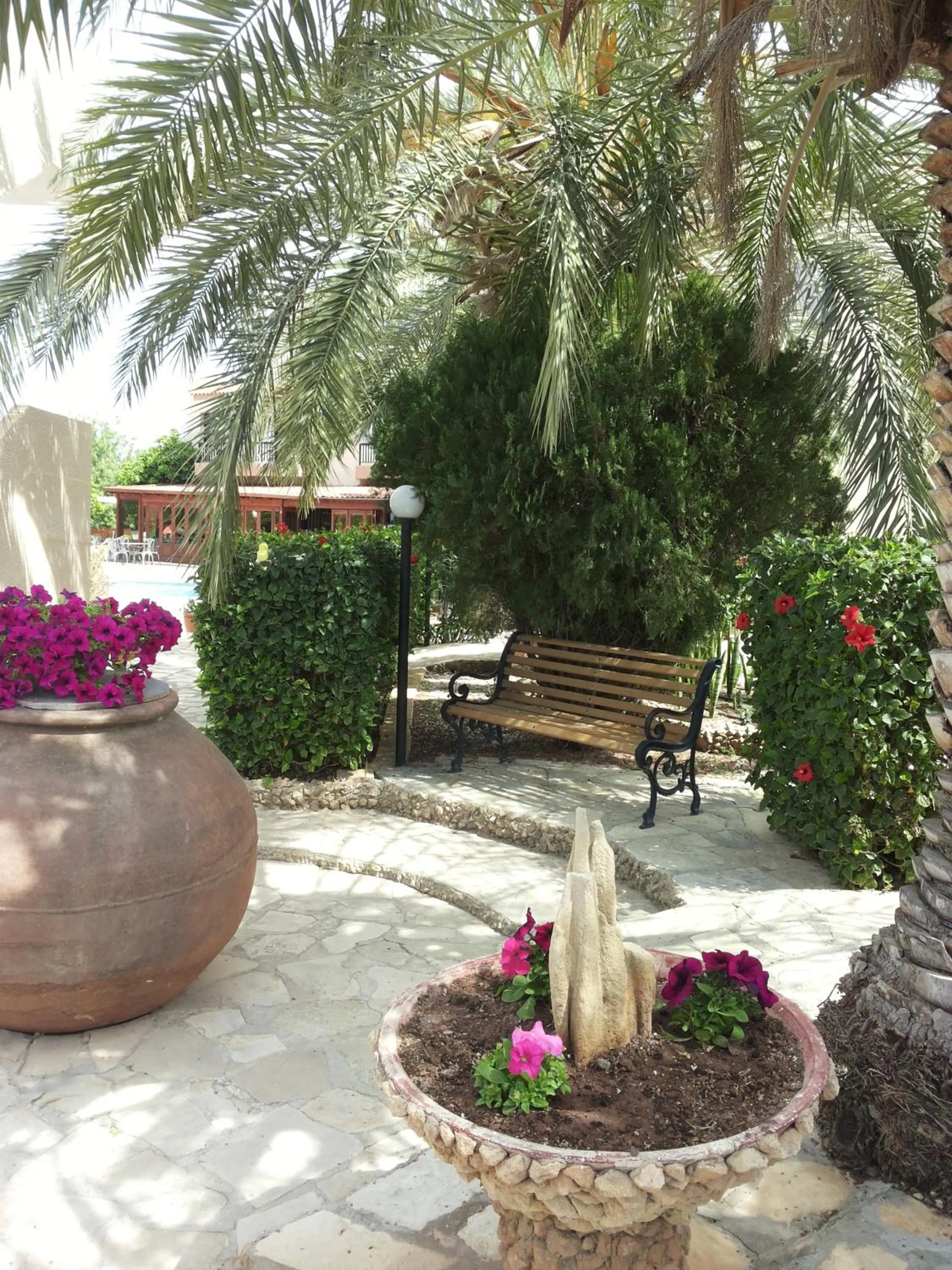 Garden in Anna Hotel Apartments