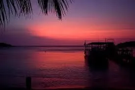 Natural landscape in Coconut Tree West End