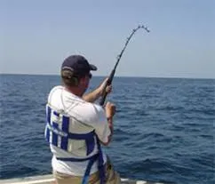 Day in Coconut Tree West End