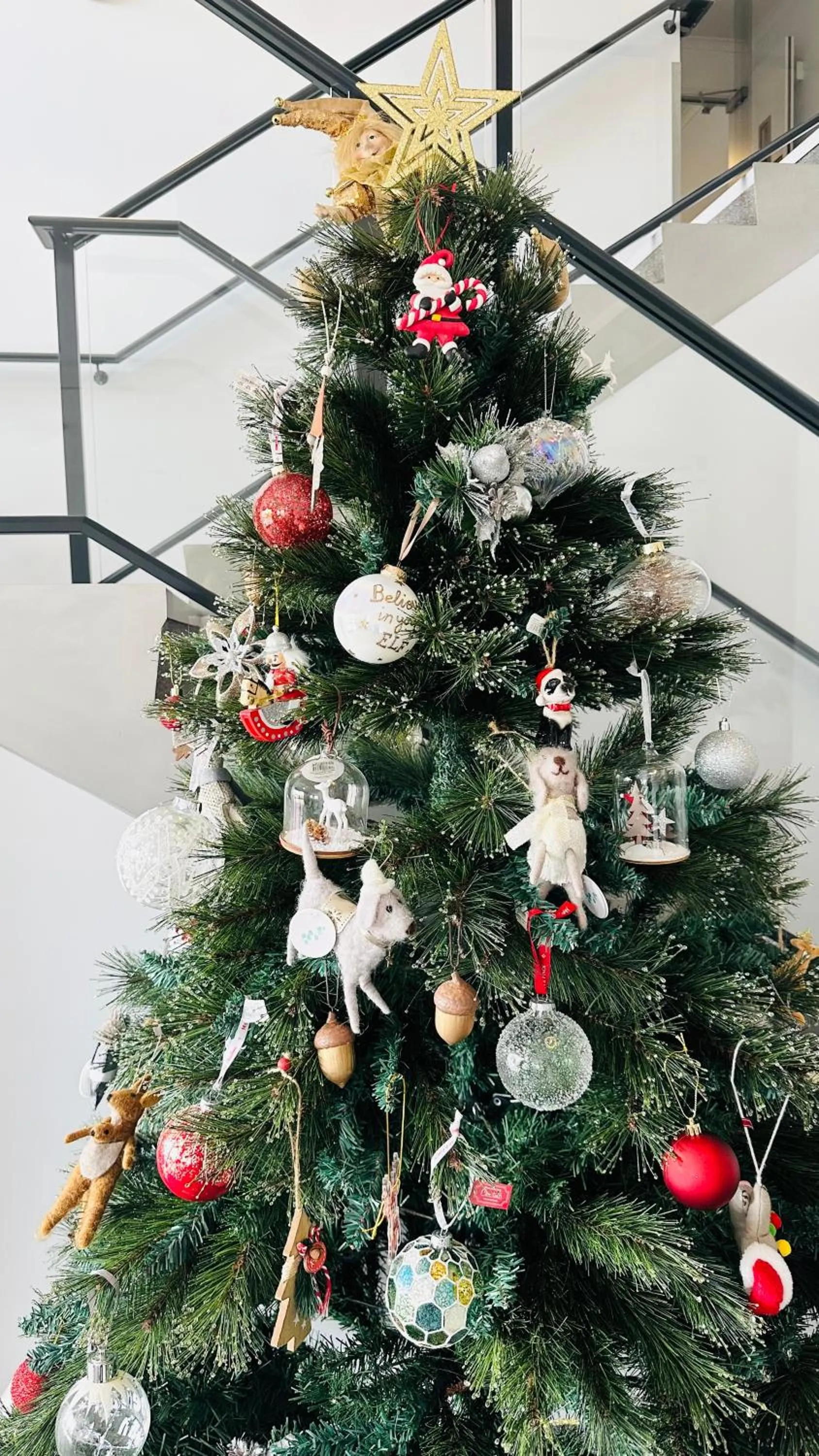 BKs Premier Motel Hamilton