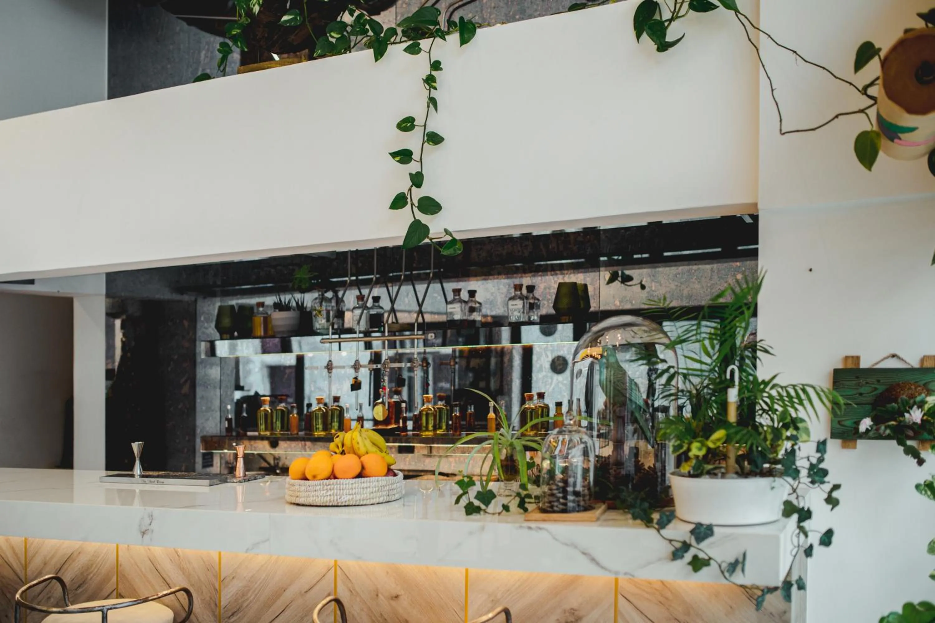 Lounge or bar in Roseum Boutique Hotel