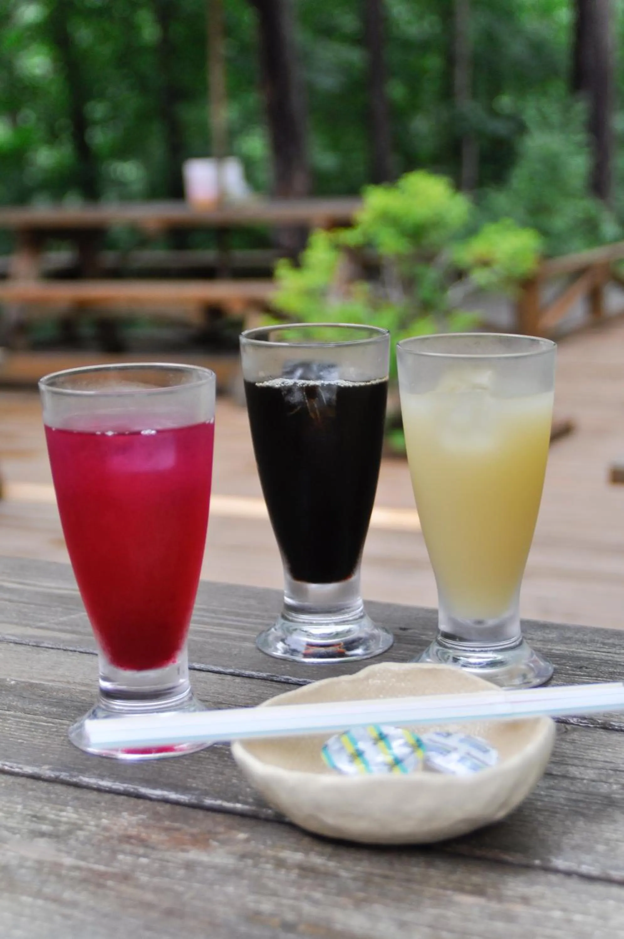 Non alcoholic drinks in Hishino Onsen Tokiwakan