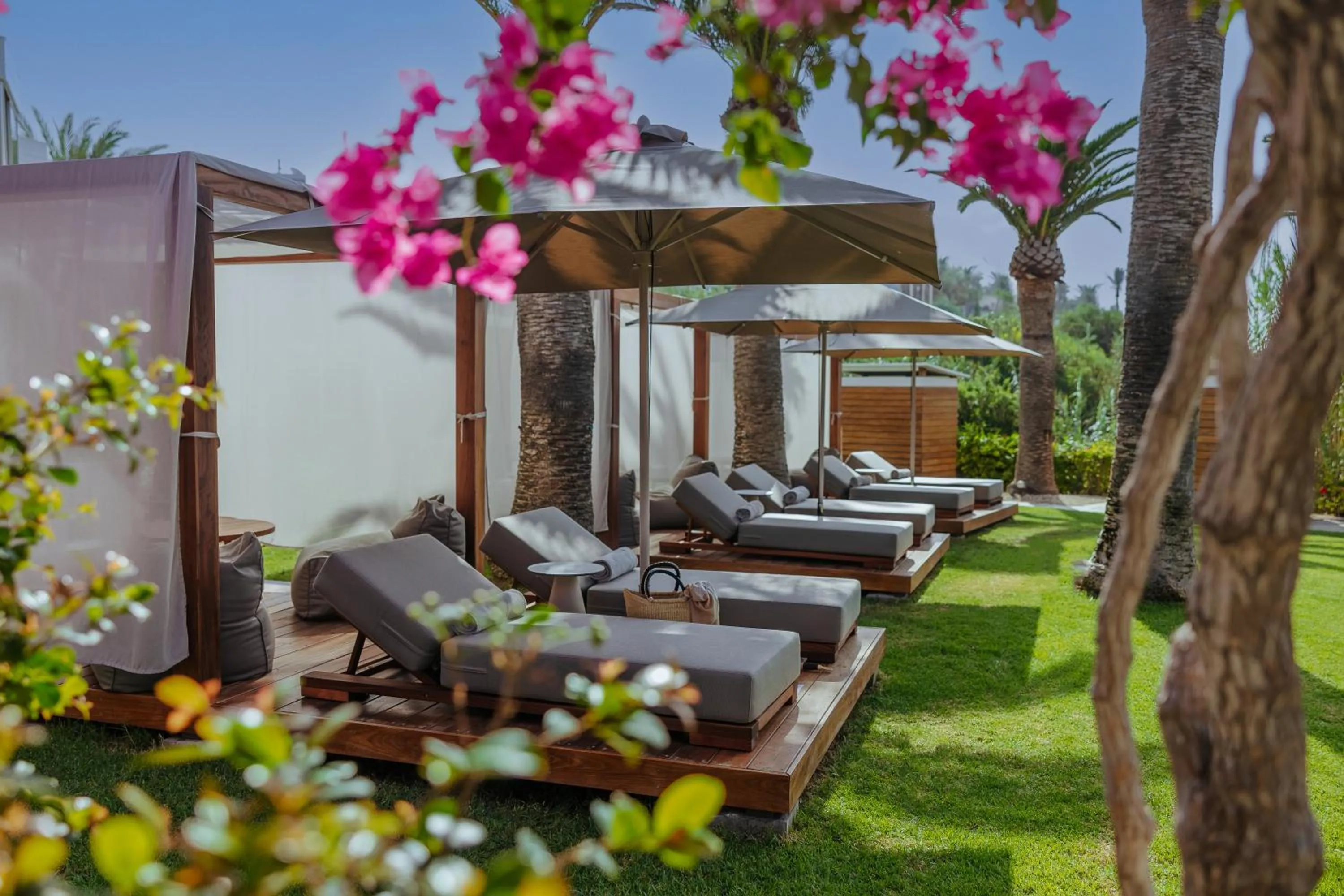 sunbed in Alion Beach Hotel