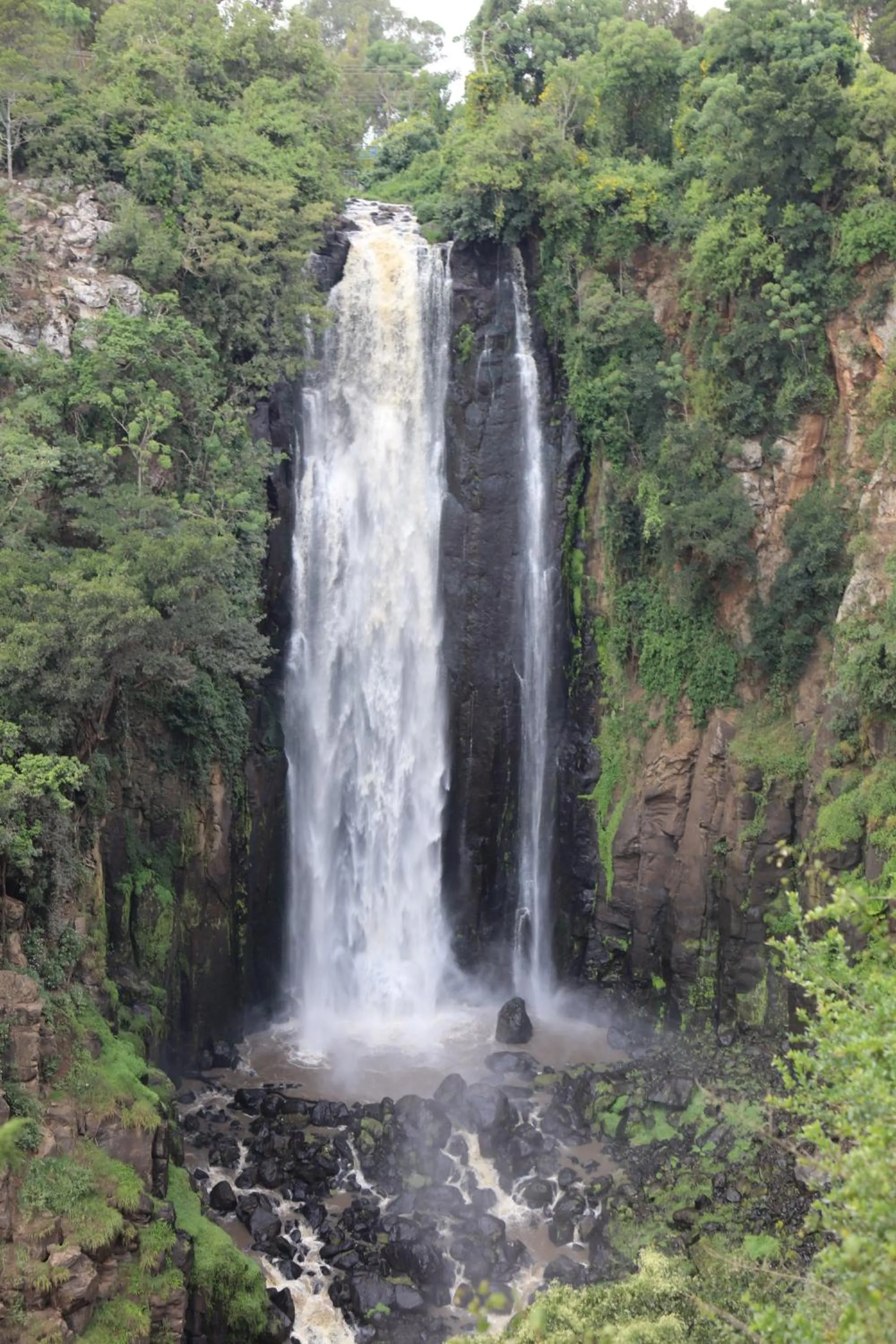 Natural landscape in Panari Resort, BW Signature Collection