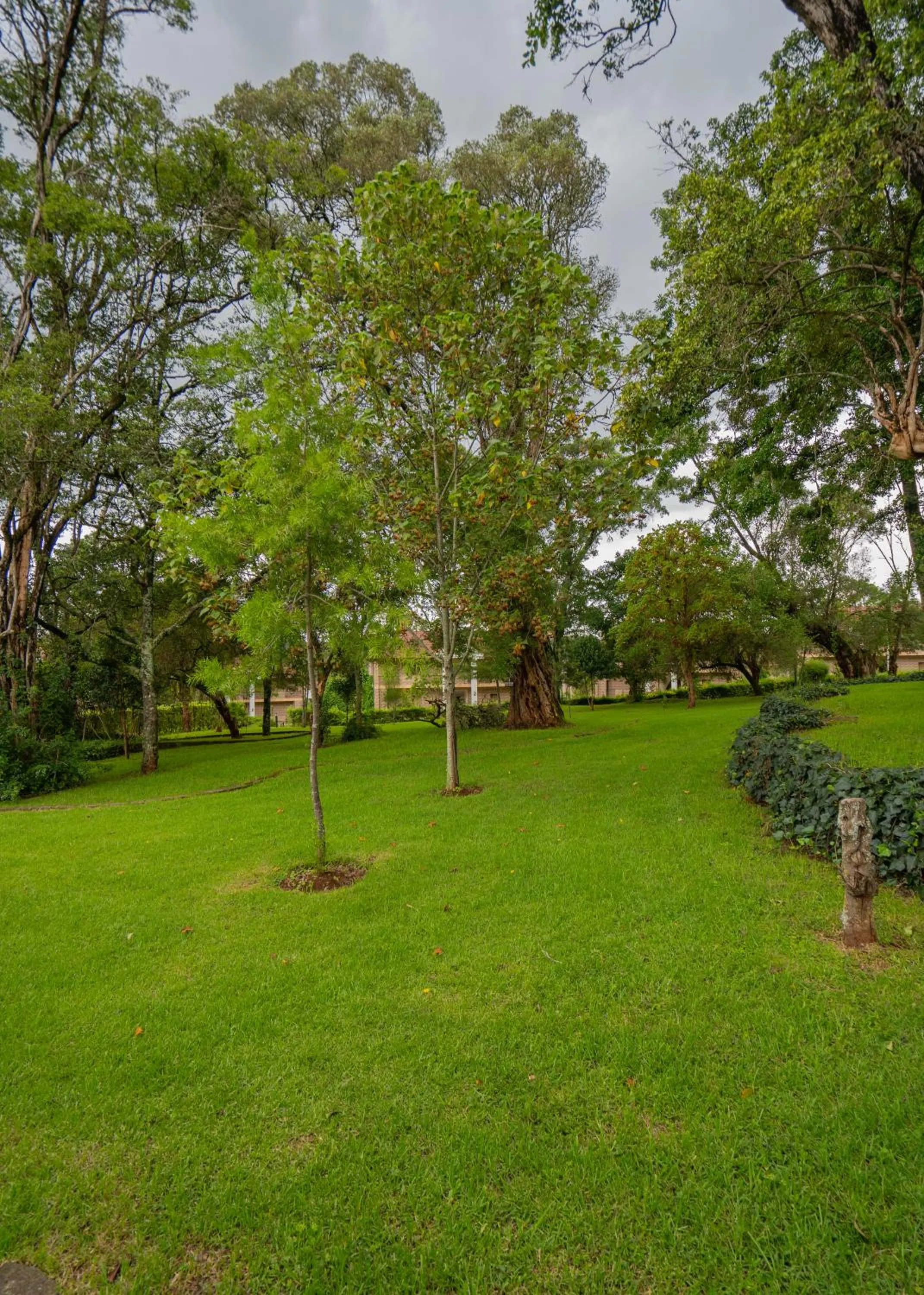 View (from property/room) in Panari Resort, BW Signature Collection