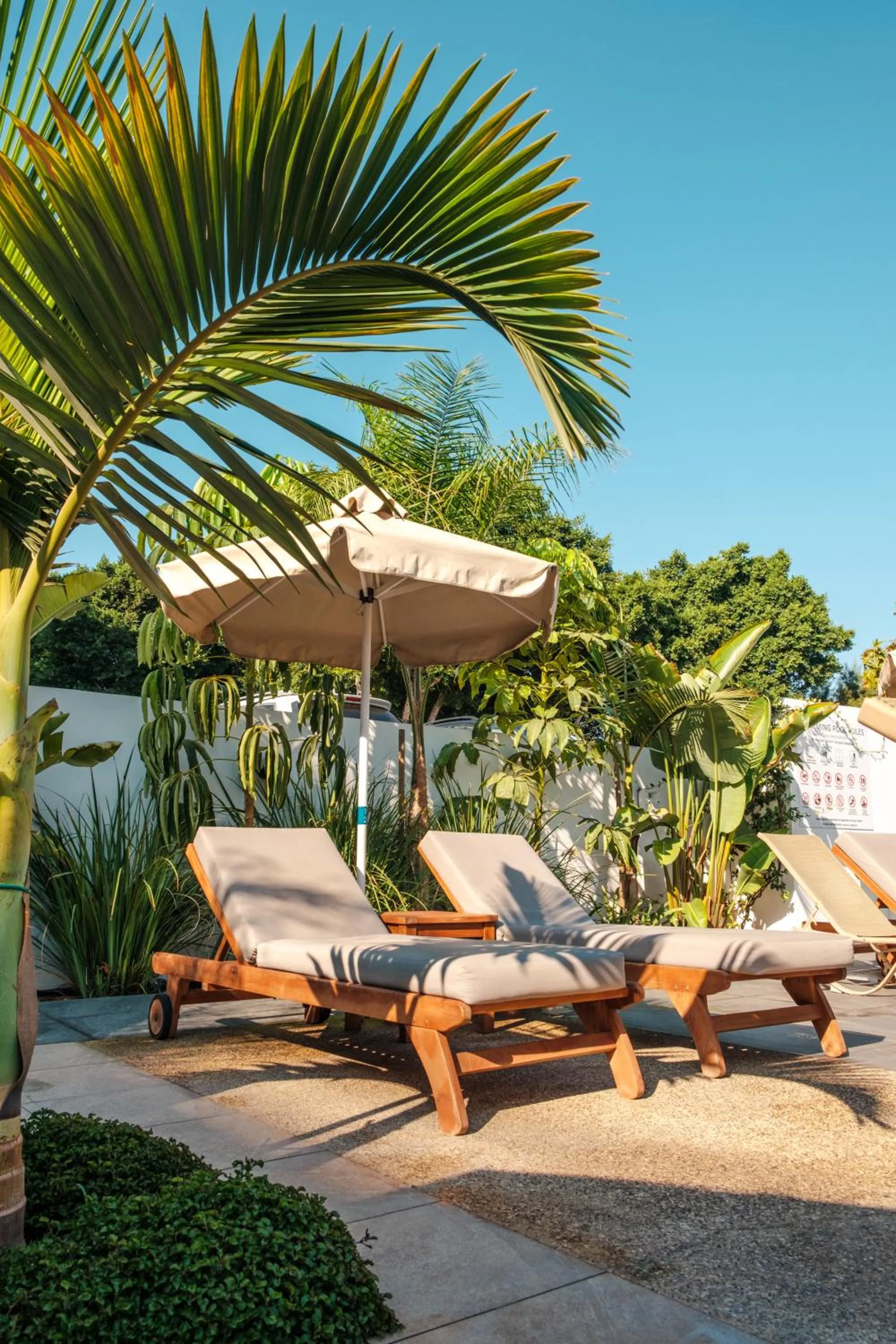 sunbed in Kapetanios Bay Hotel Protaras