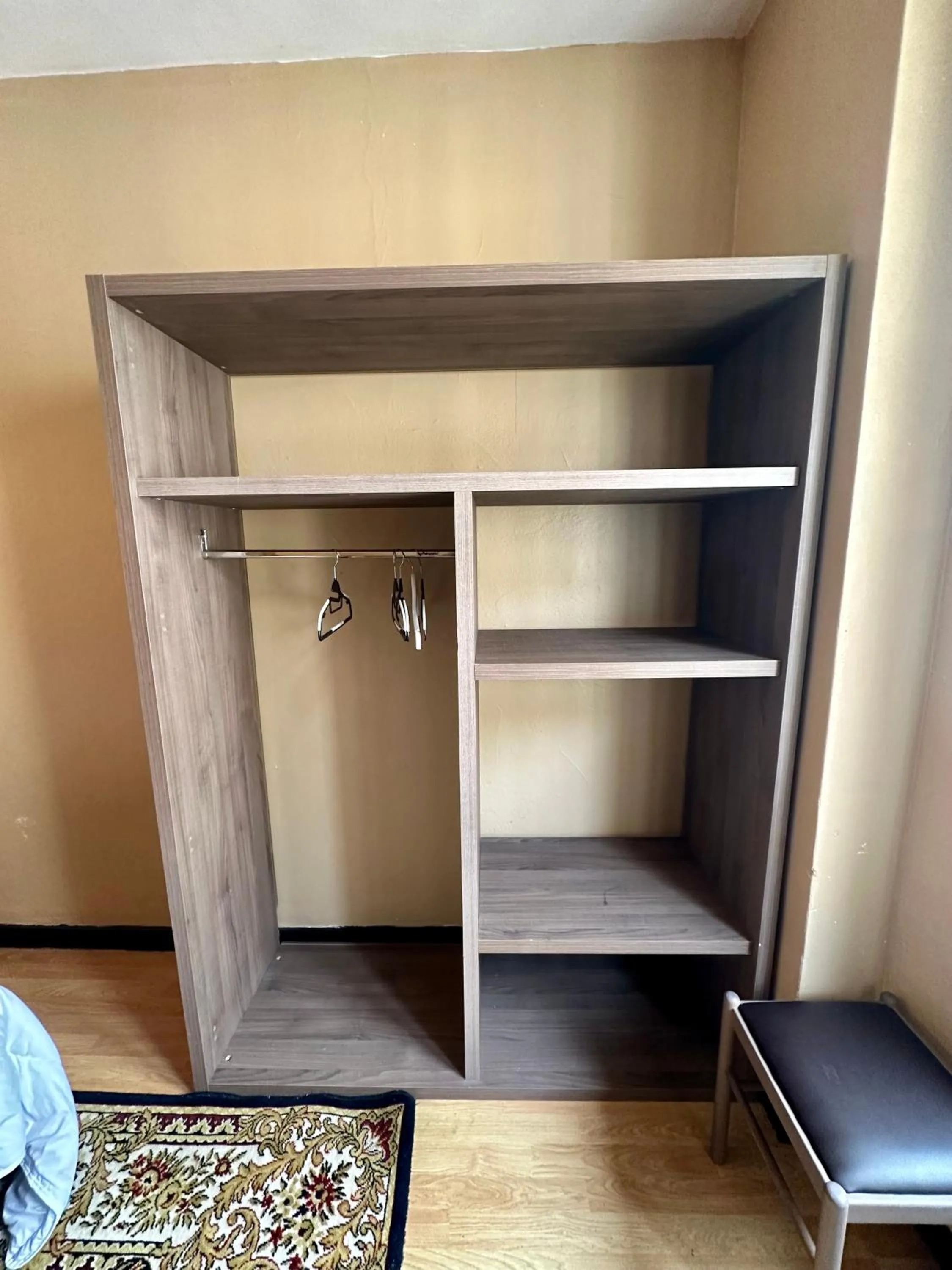 wardrobe in Hotel Victor Hugo