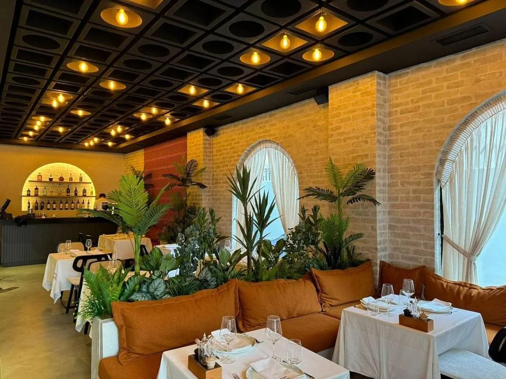 Restaurant/places to eat in Senator Hotel