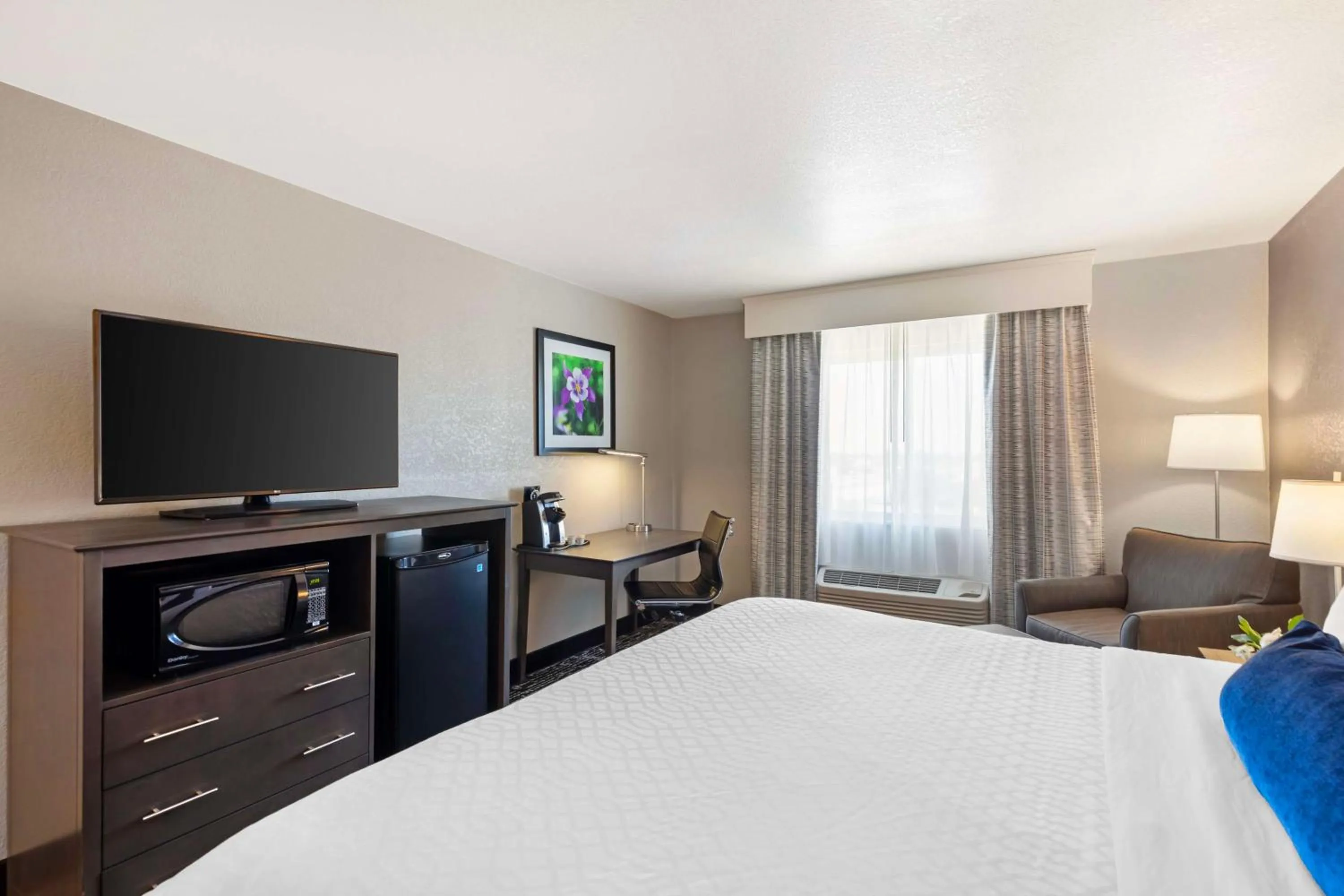 Bedroom, Bed in Best Western Greeley