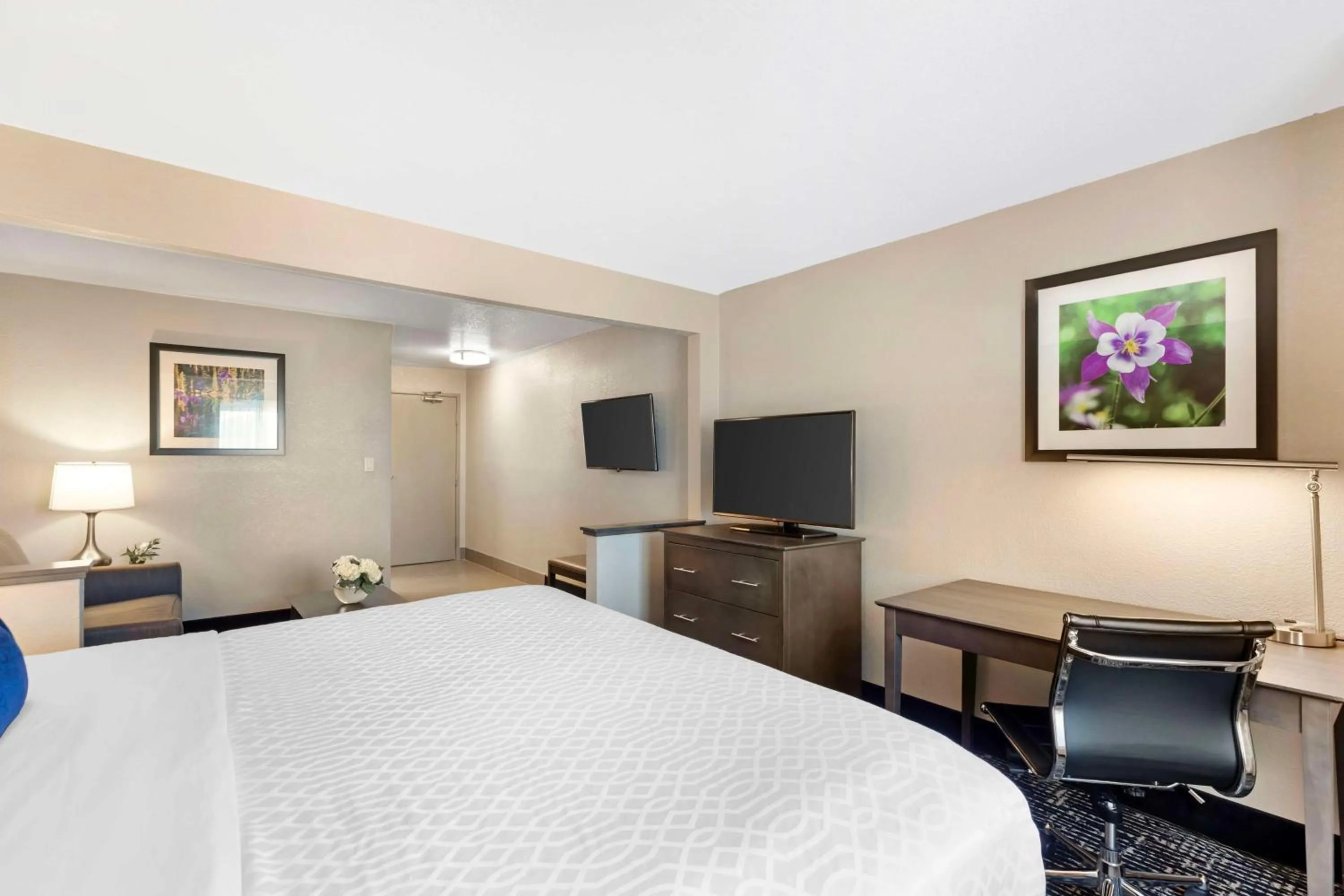 Bedroom, Bed in Best Western Greeley