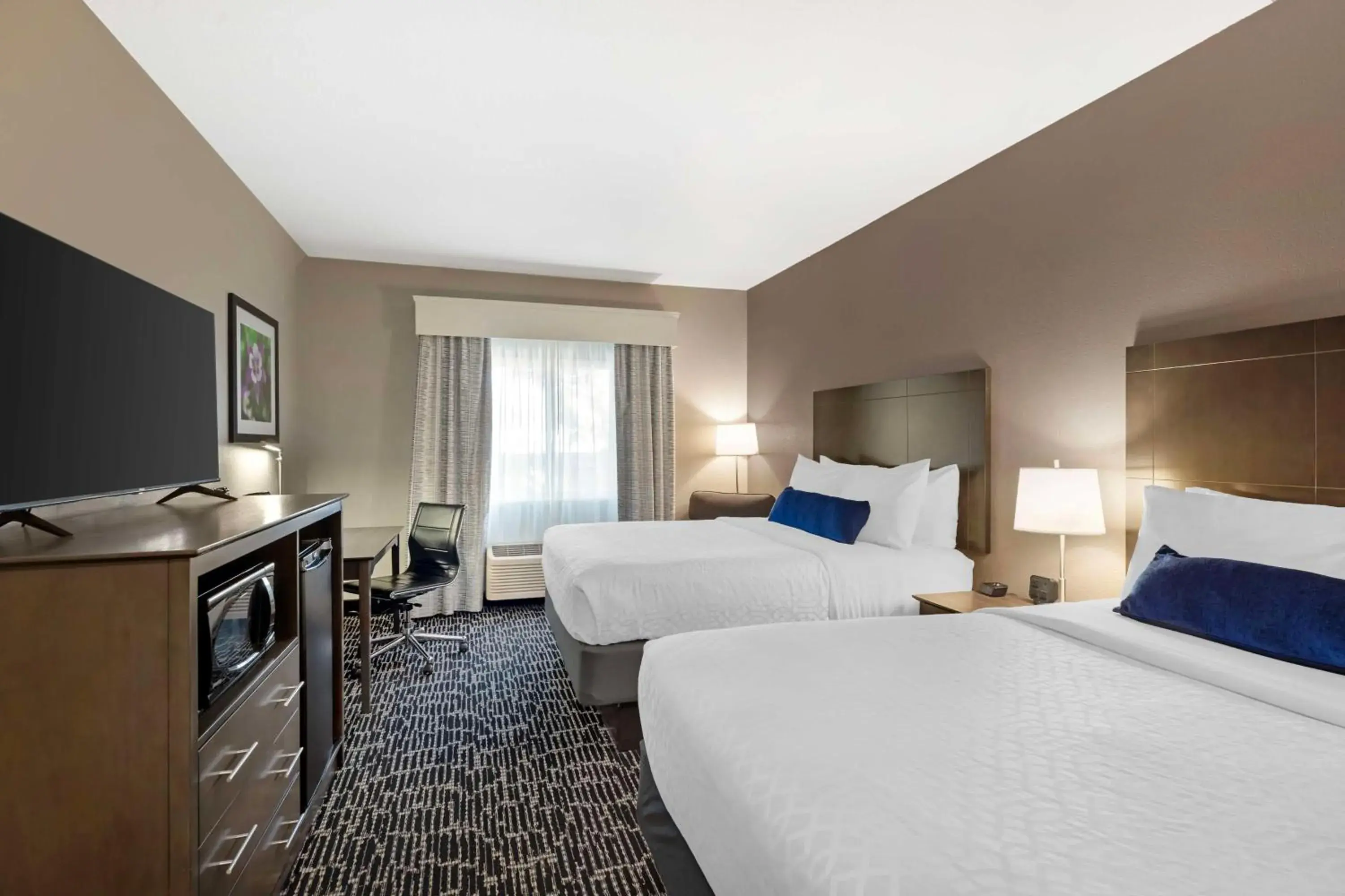 Queen Room with 2 Queen Beds in Best Western Greeley Queen Room with 2 Queen Beds in Best Western Greeley