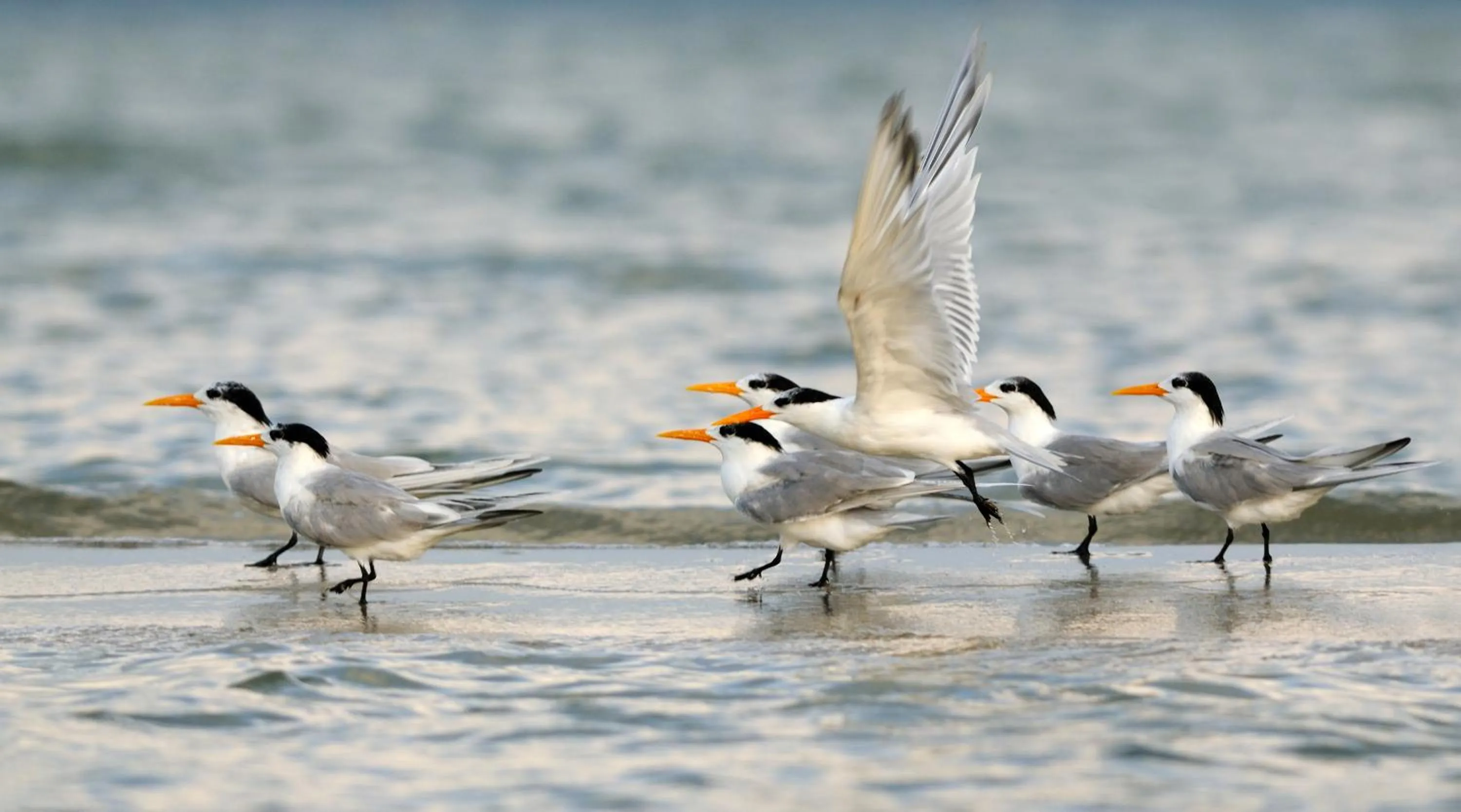 Neighbourhood in Kodev