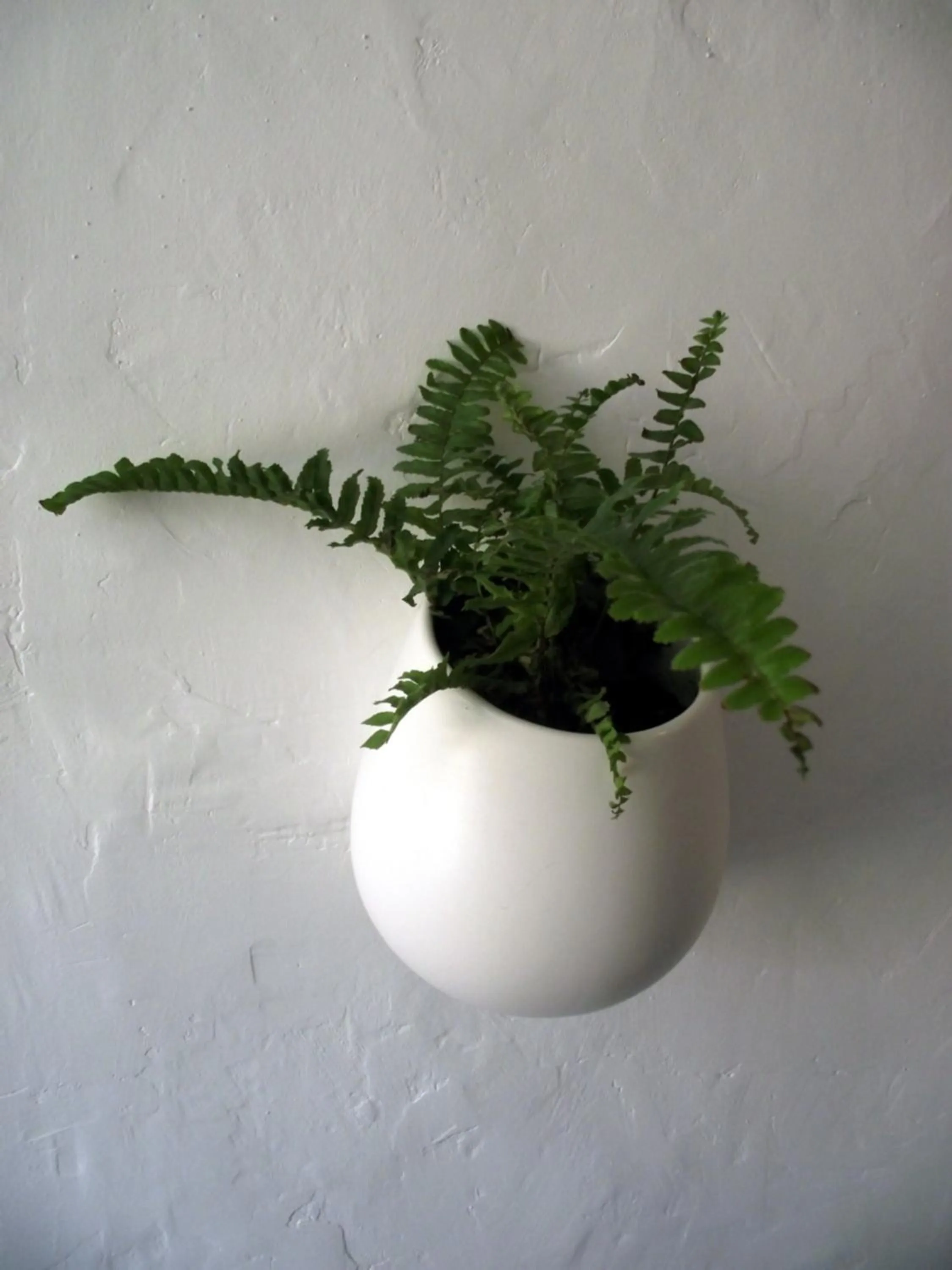 Decorative detail in Longo Mai