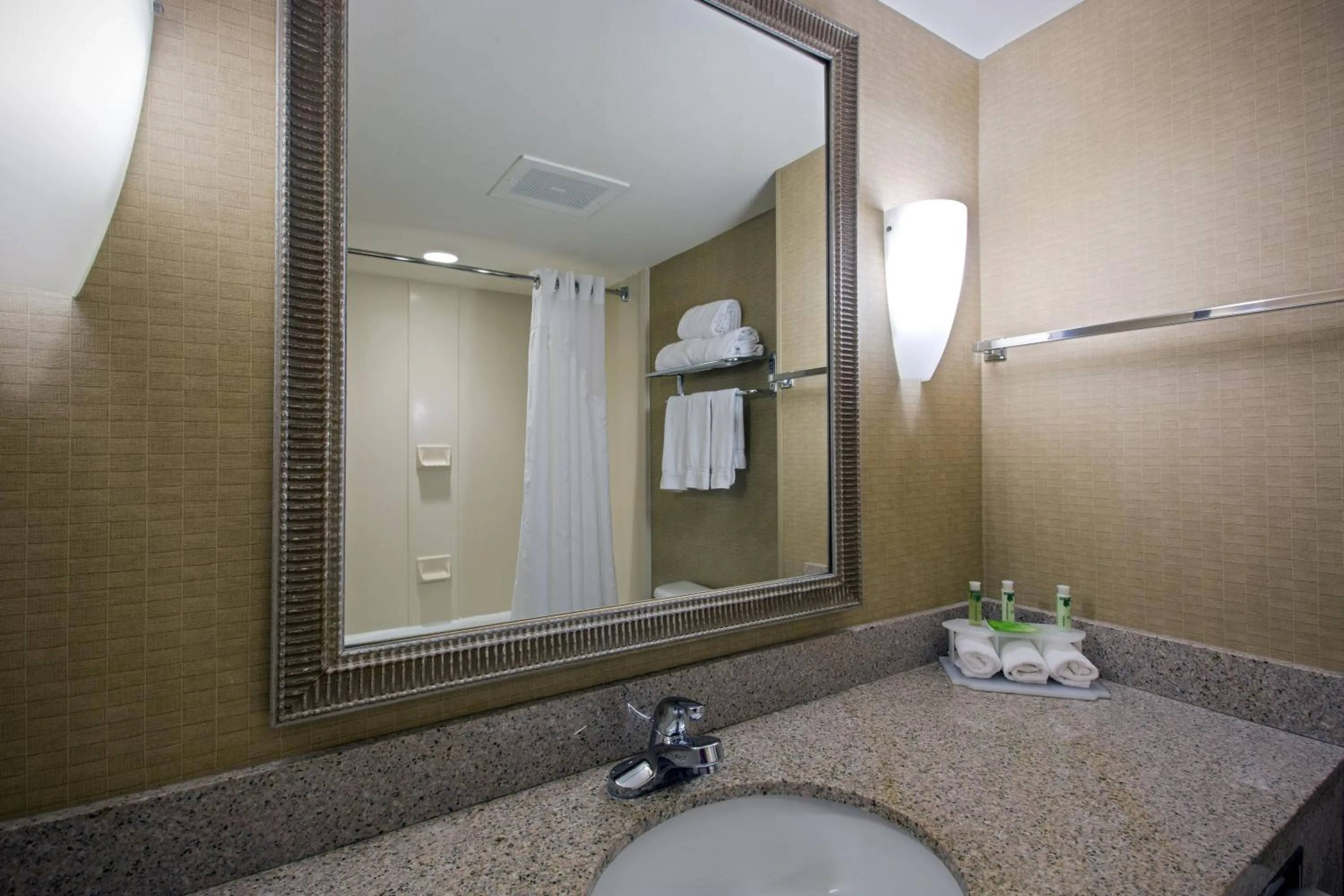 Bathroom in Holiday Inn Express Hotel & Suites Jackson - Flowood by IHG