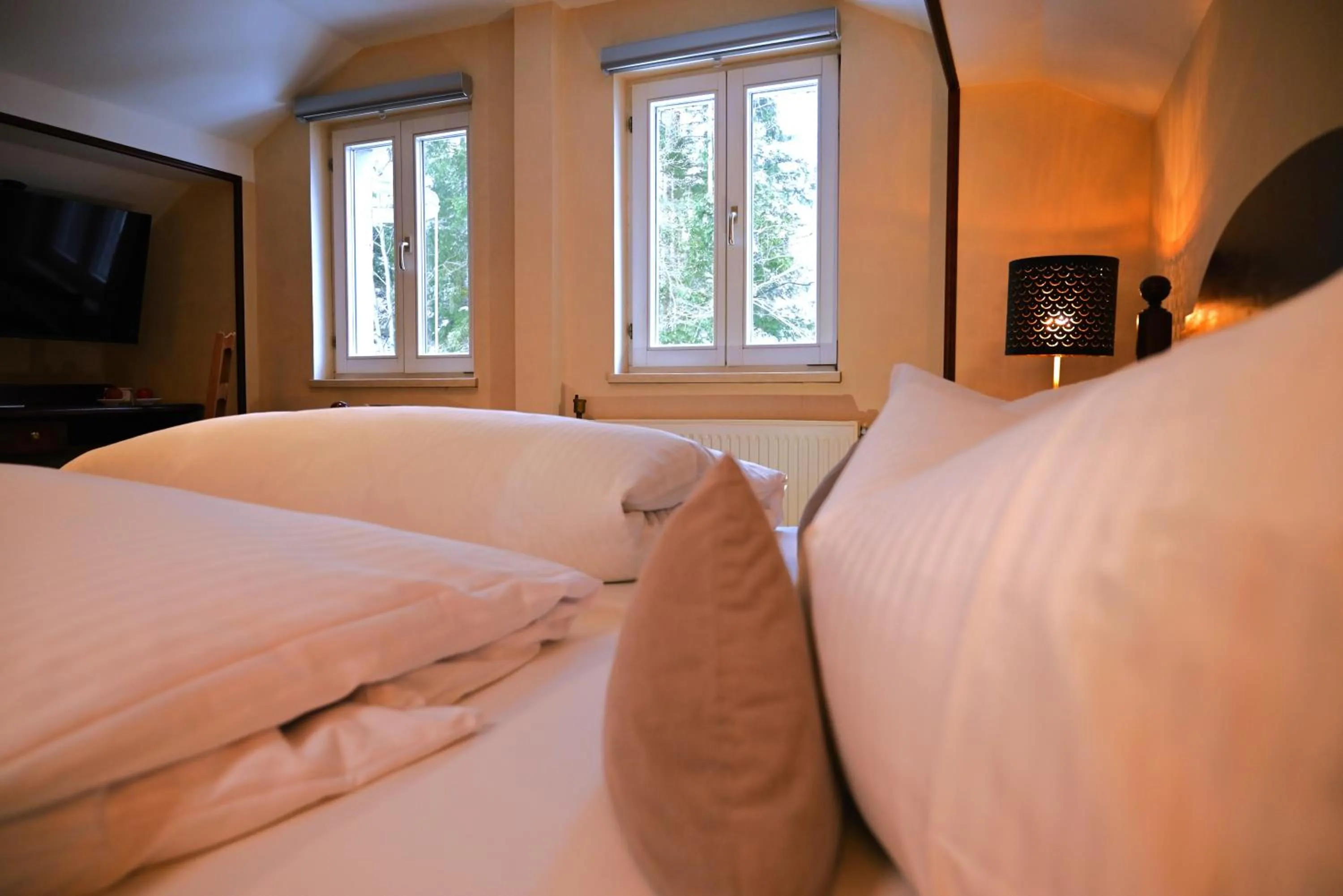 Photo of the whole room, Bed in Flair-Hotel Waldfrieden