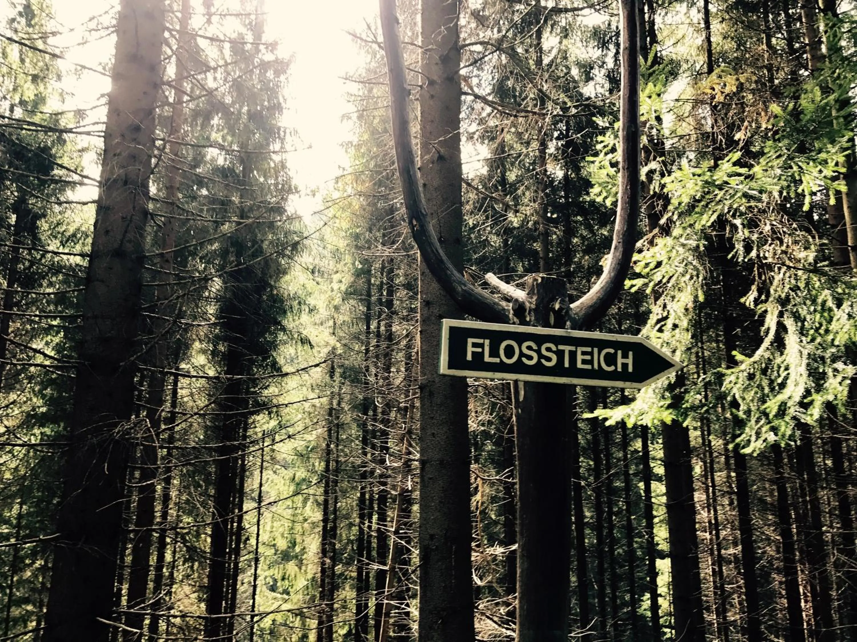 Nearby landmark in Flair-Hotel Waldfrieden