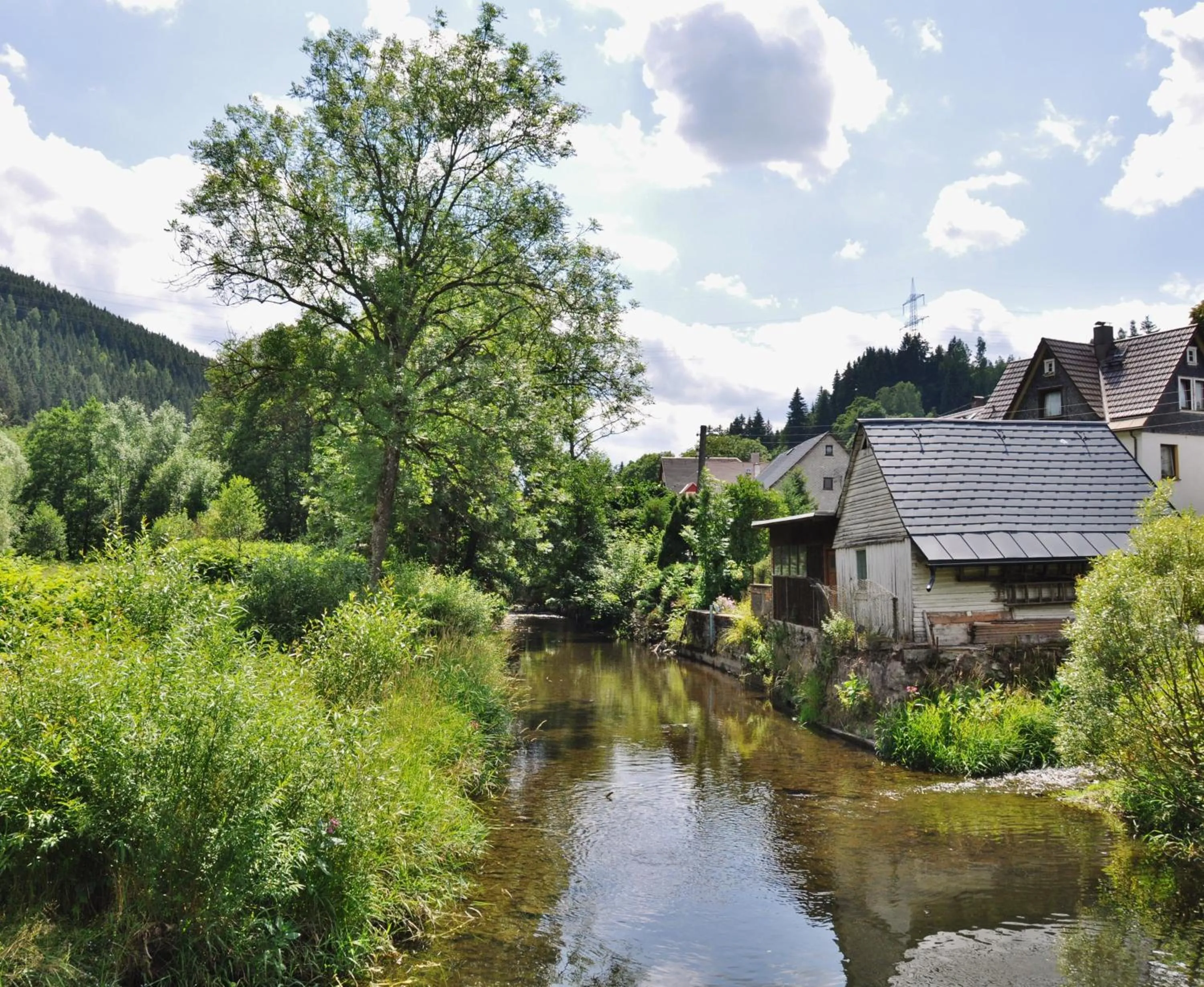 Day in Flair-Hotel Waldfrieden