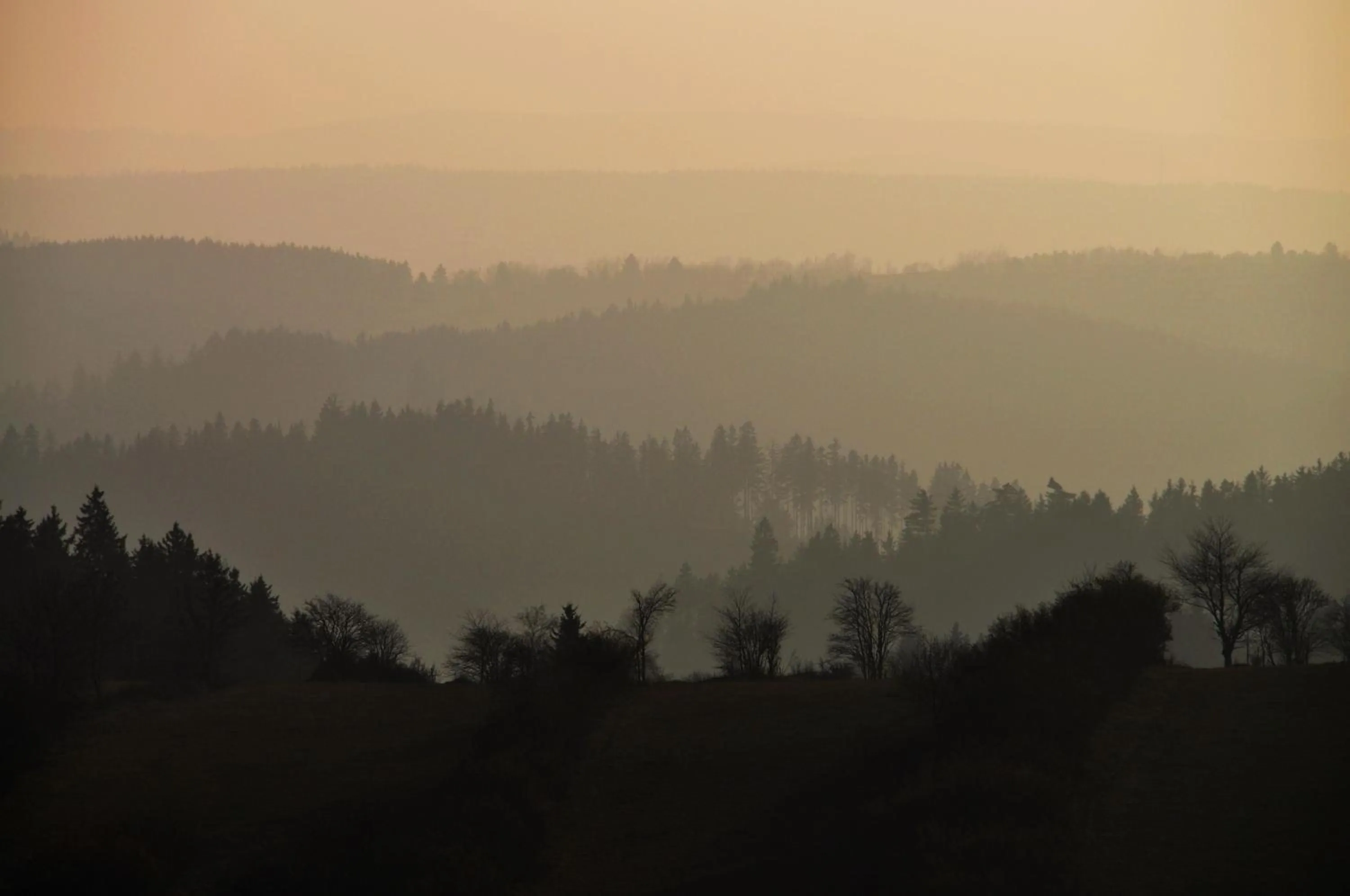 Natural landscape in Flair-Hotel Waldfrieden