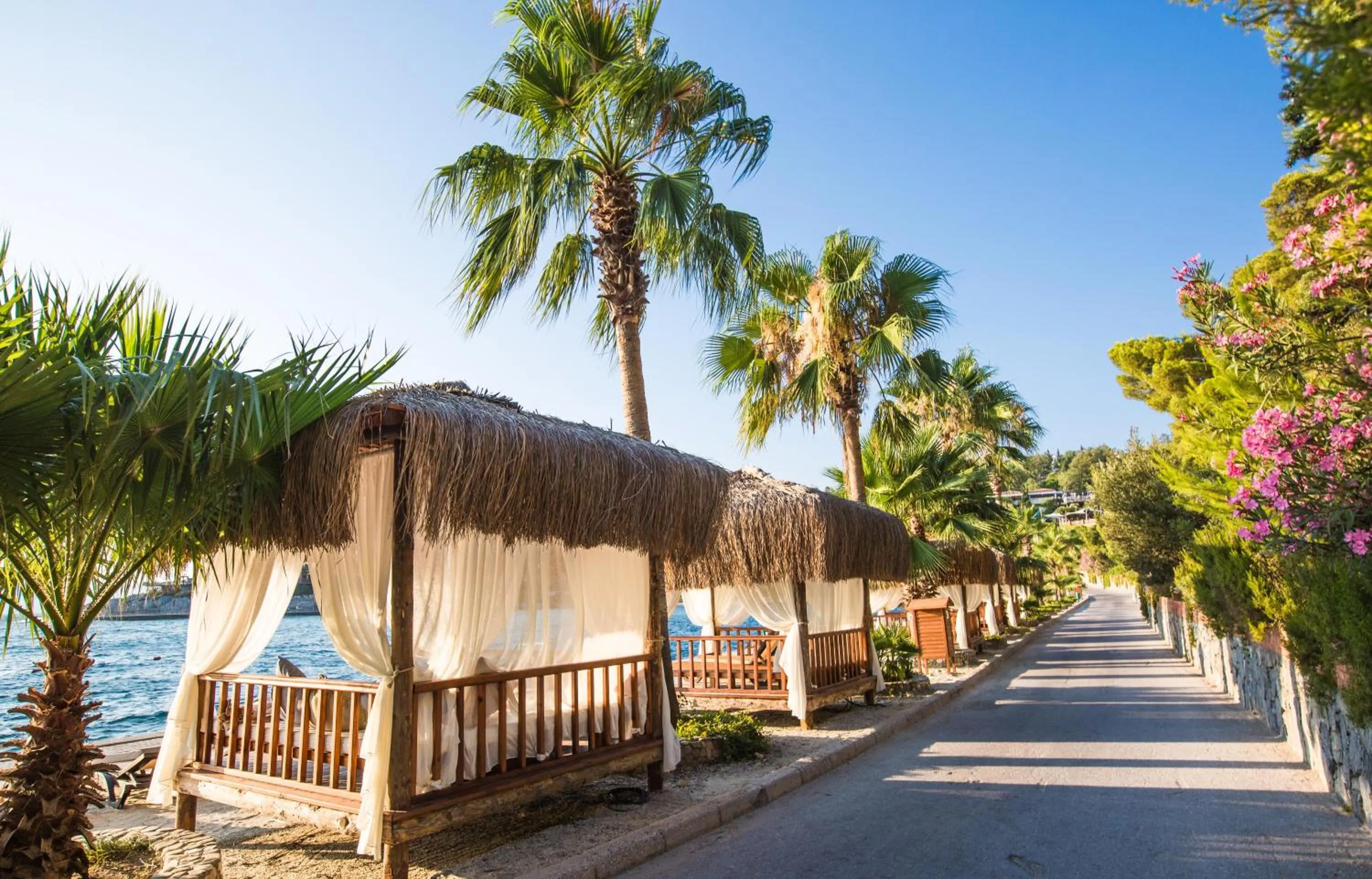 Garden in Pine Bay Holiday Resort