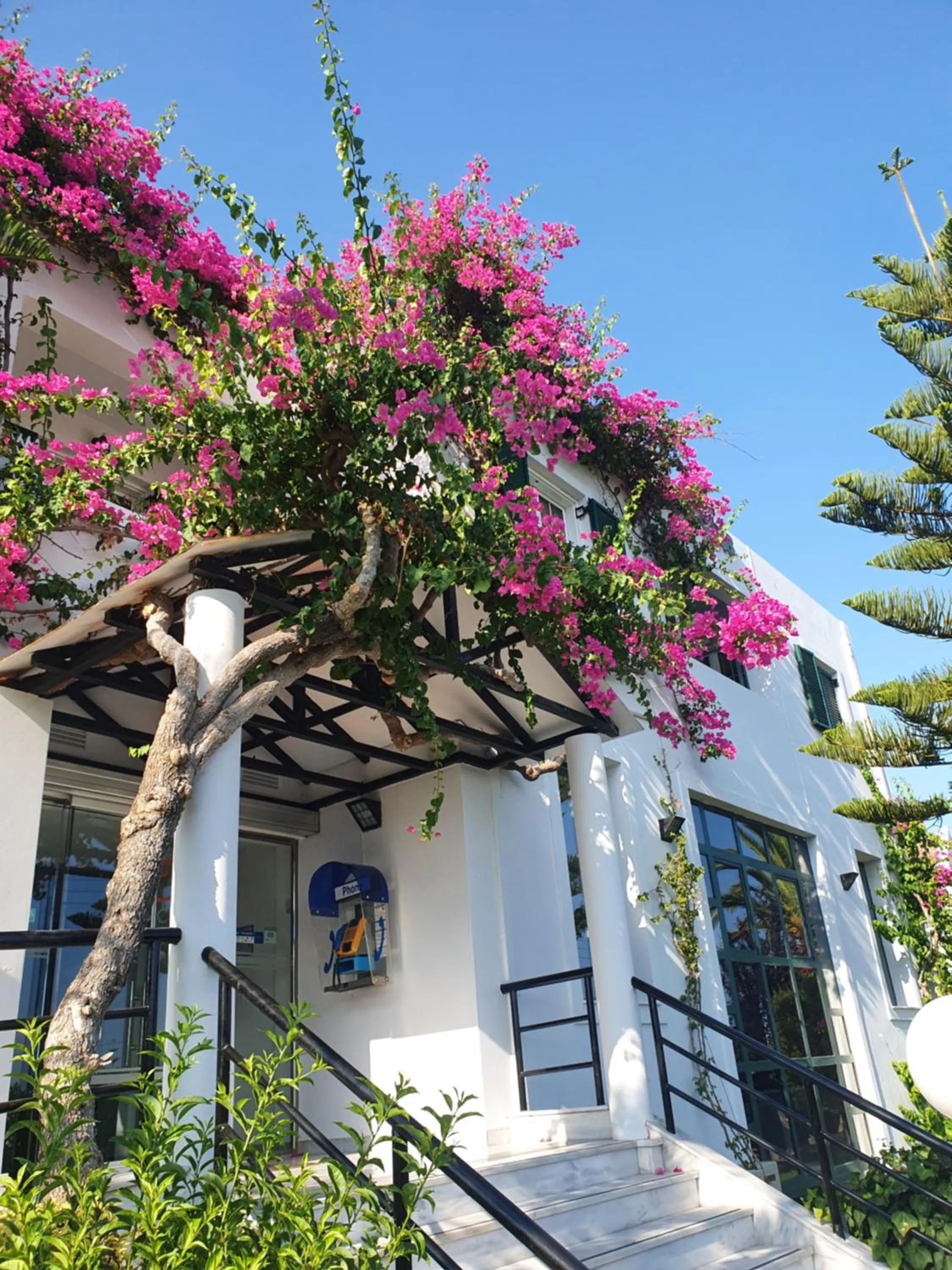 Property building in Oscar Hotel