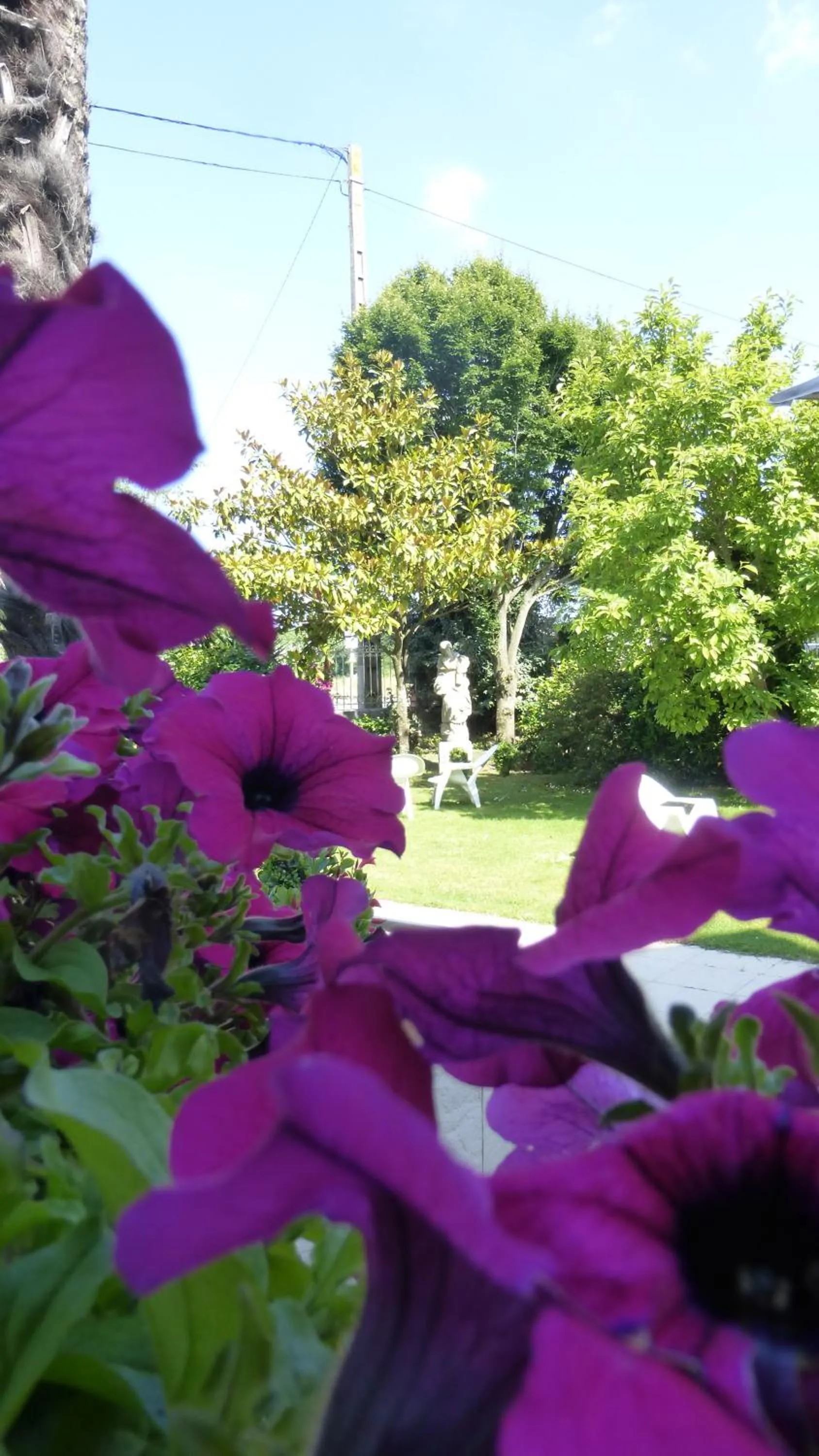 Patio in Hôtel Ariane & SPA