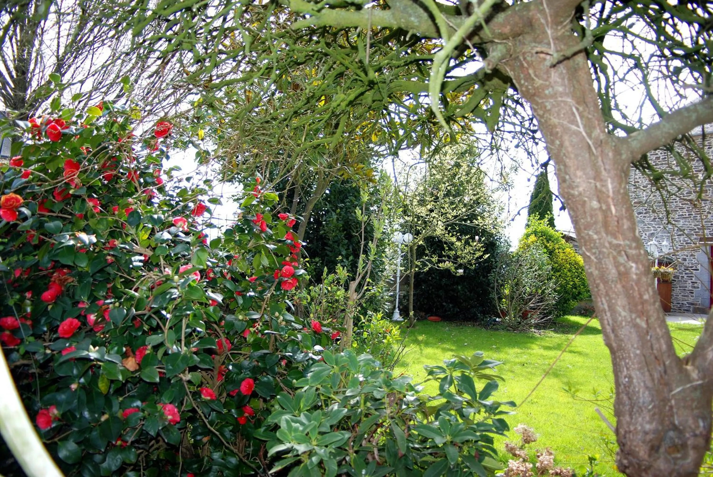 Area and facilities in Hôtel Ariane & SPA