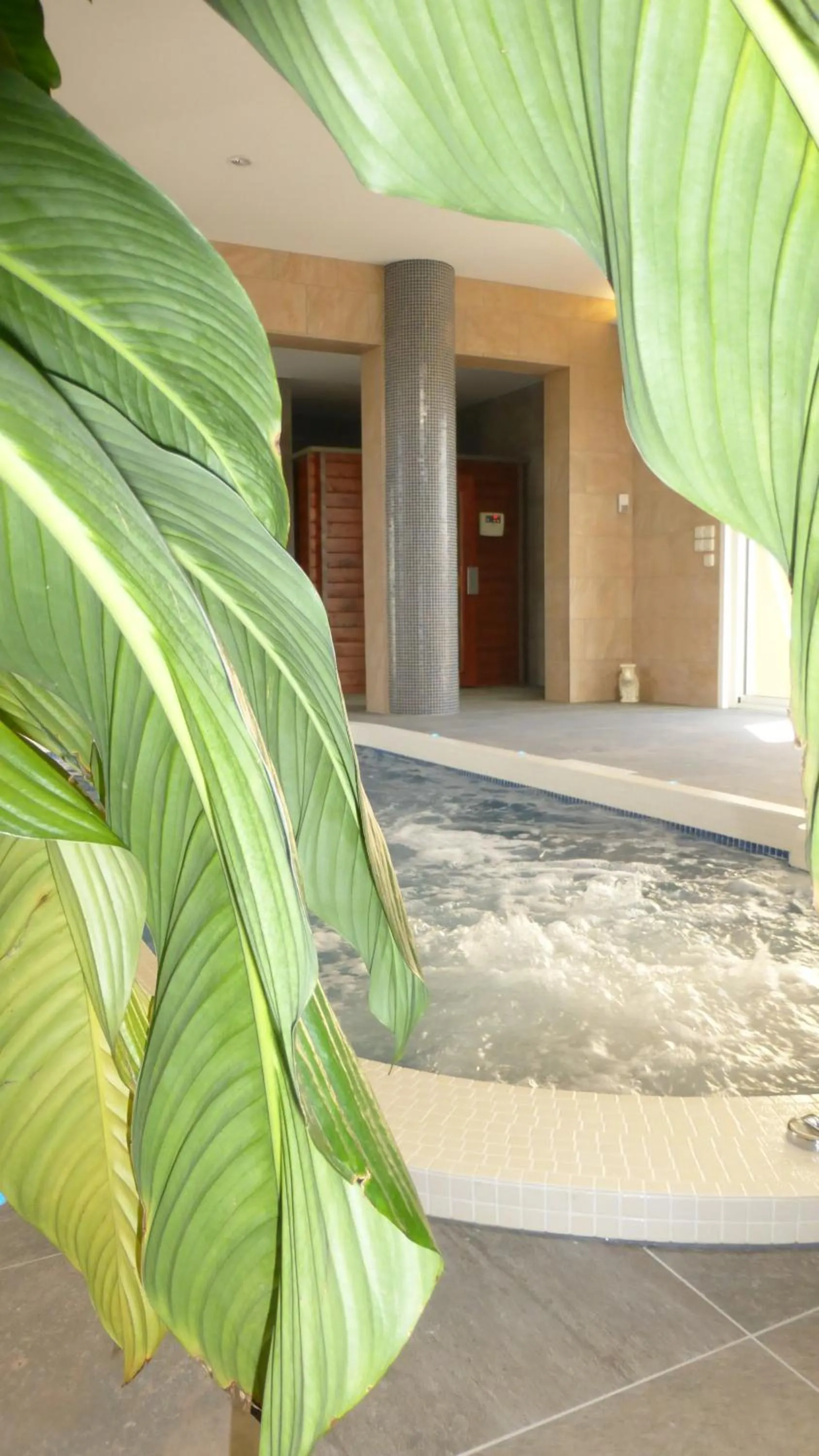Spa and wellness centre/facilities in Hôtel Ariane & SPA