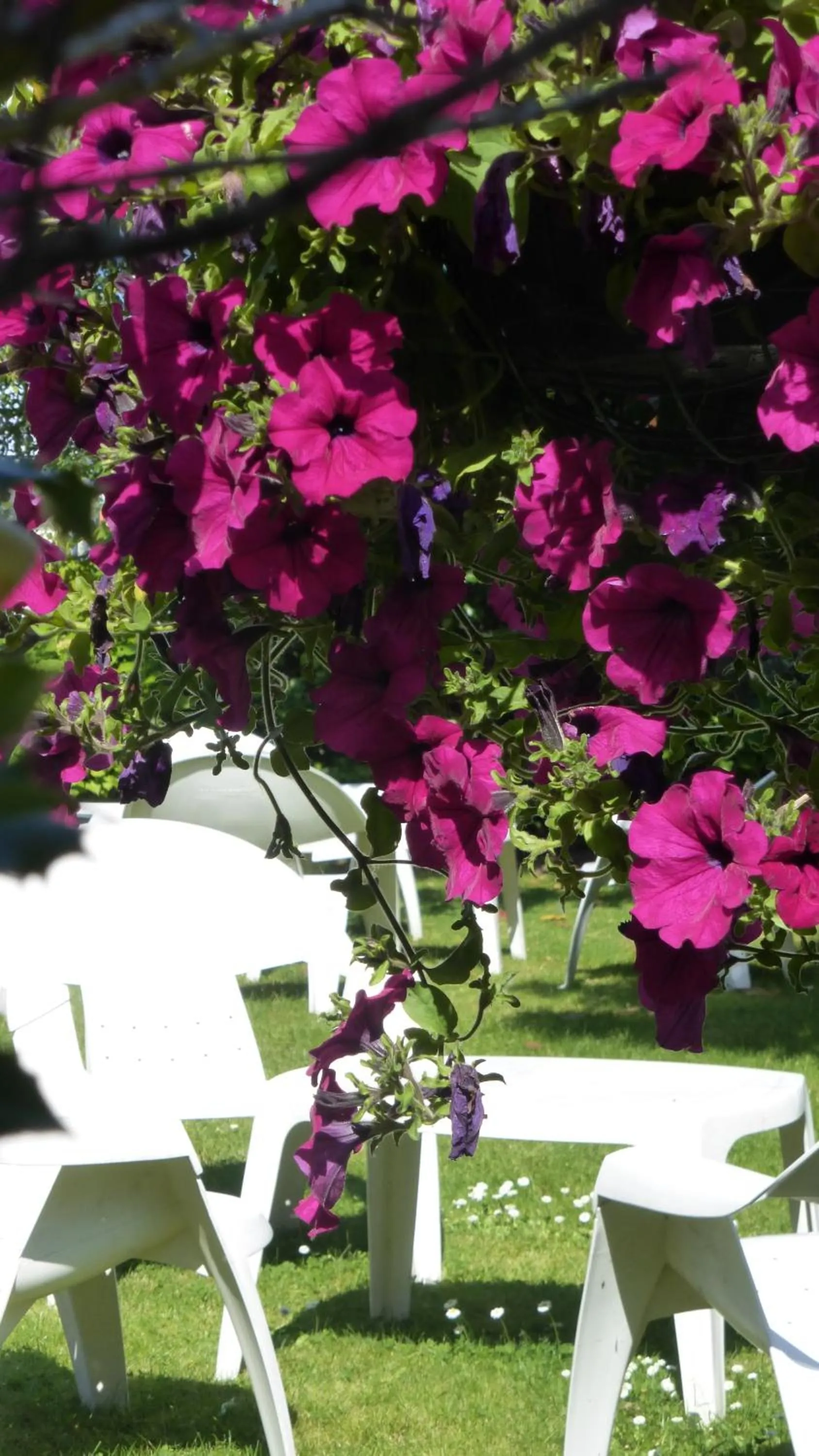 Patio in Hôtel Ariane & SPA