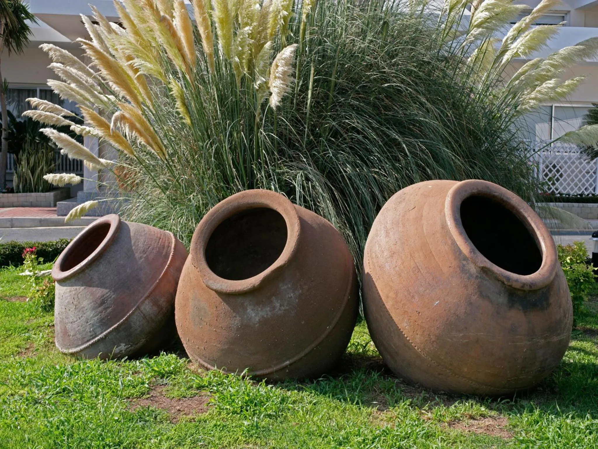 Area and facilities in Cynthiana Beach Hotel