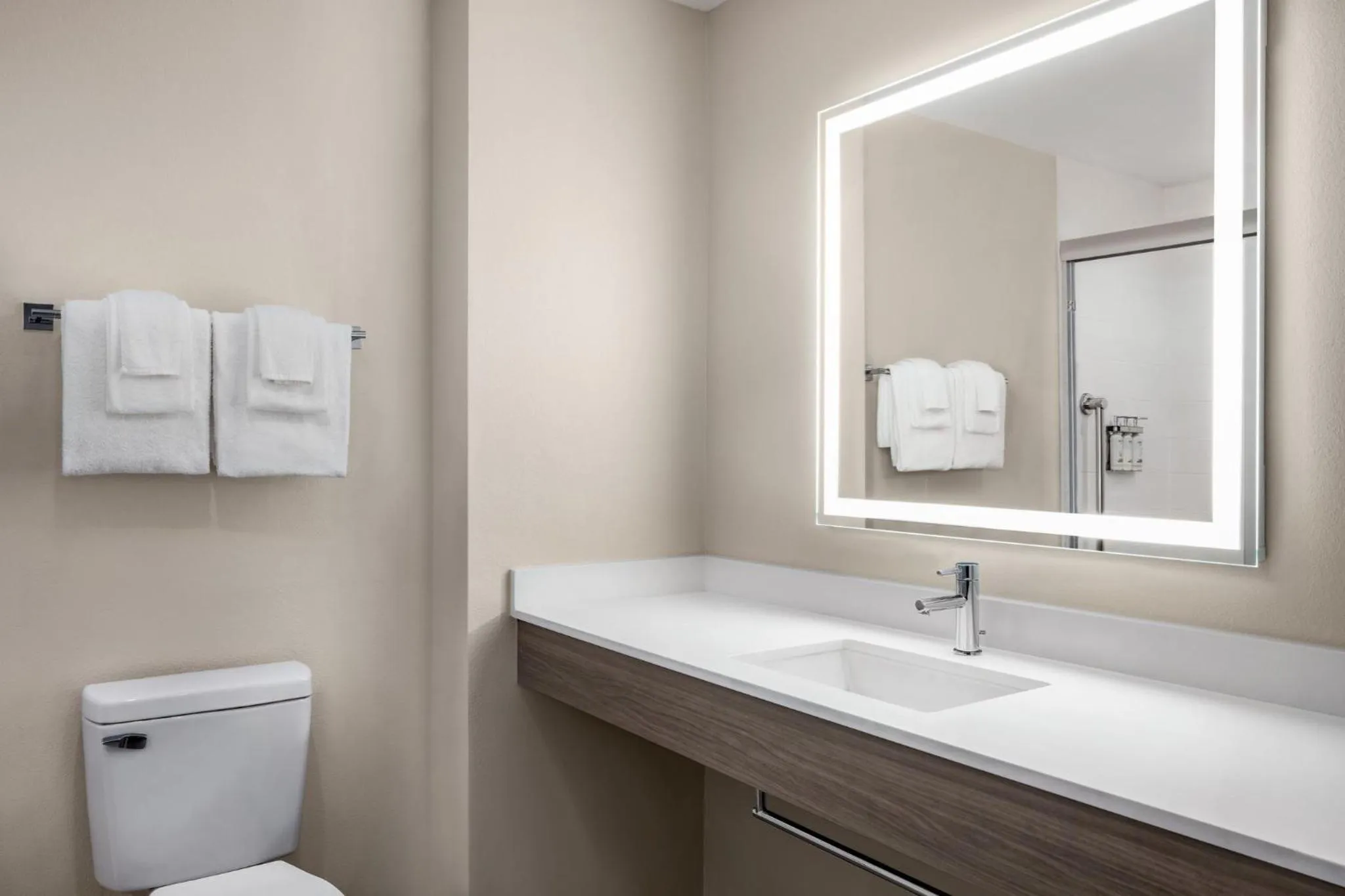 Bathroom in Holiday Inn Express Hotel & Suites Hagerstown by IHG