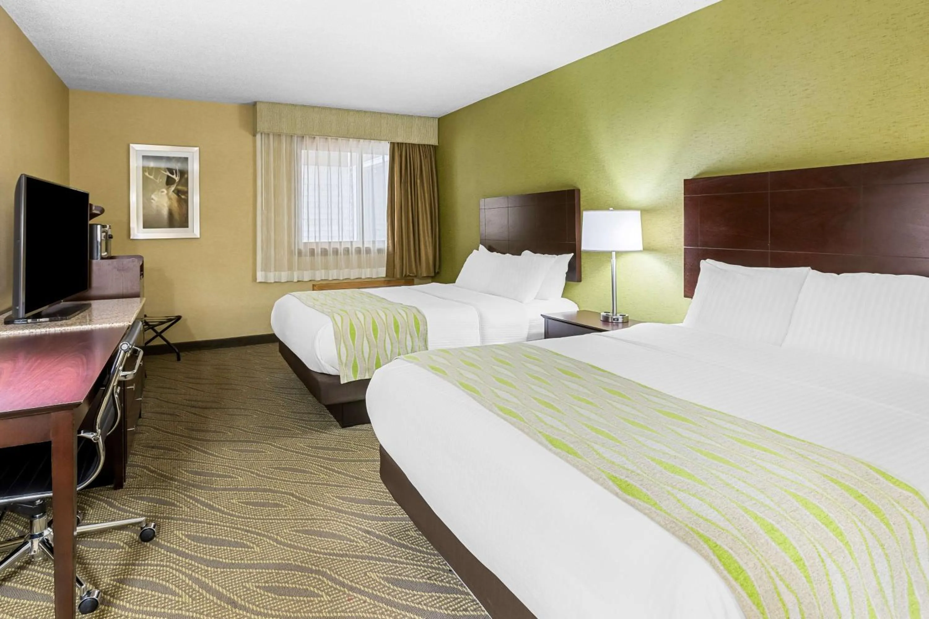 Bedroom, Bed in Best Western Gaylord