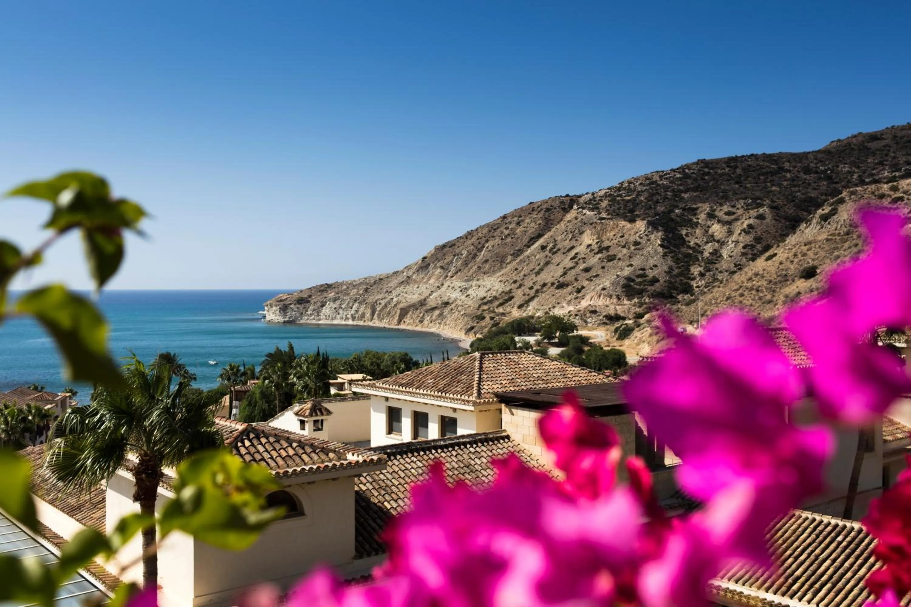 Natural landscape in Columbia Beach Resort