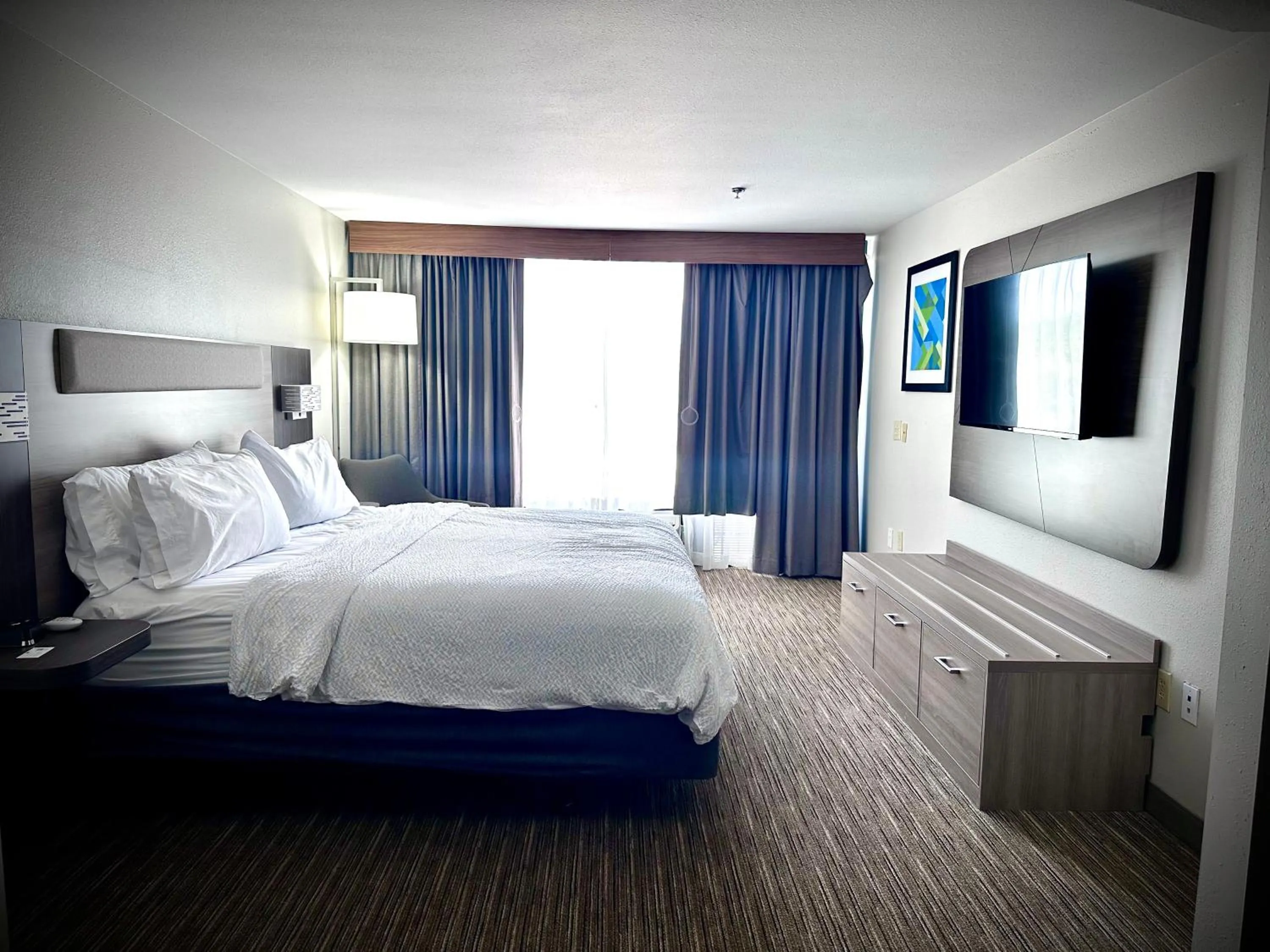 TV and multimedia, Bed in Holiday Inn Express Hotel & Suites Hinesville by IHG