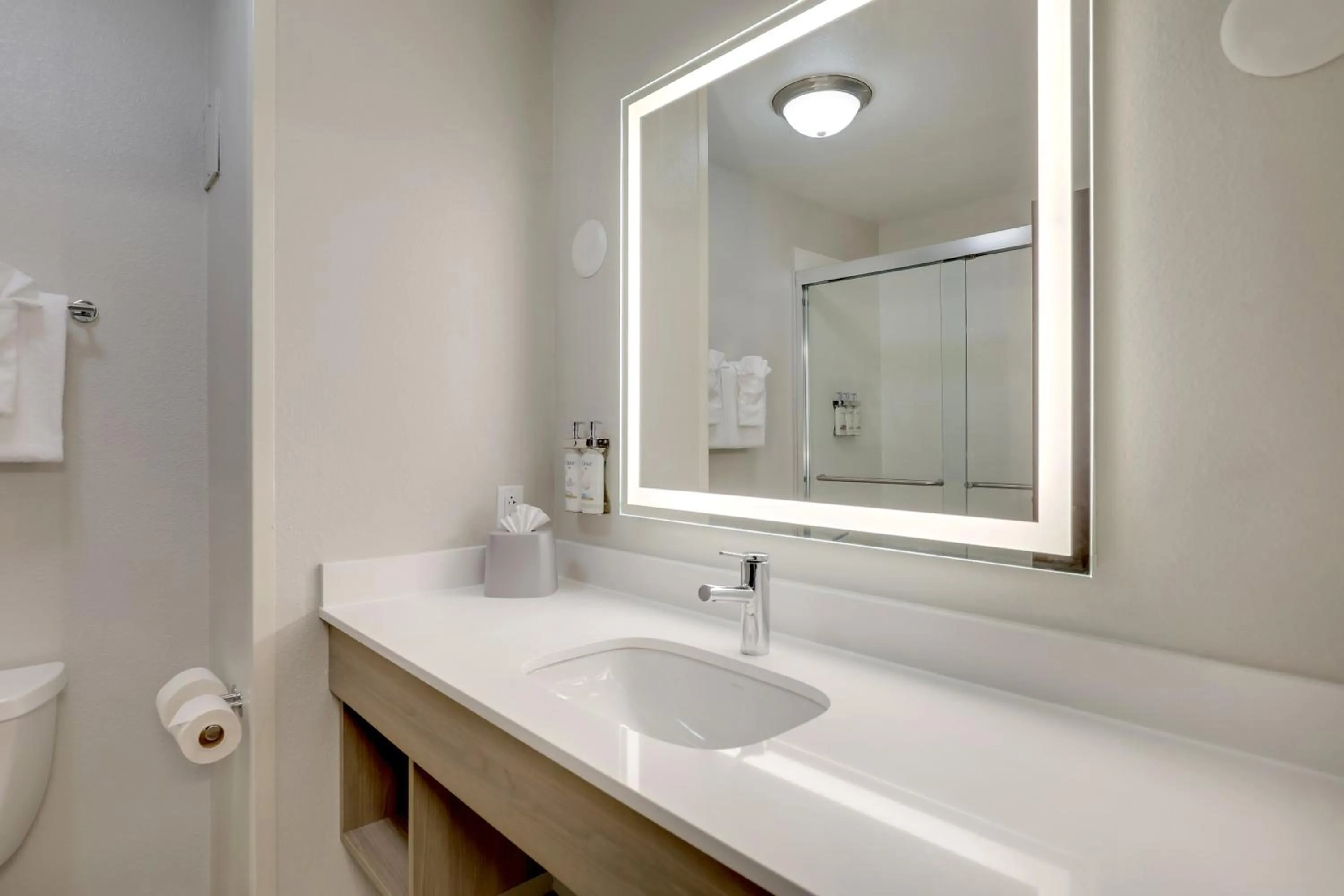 Bathroom in Holiday Inn Express Hotel & Suites Hinesville by IHG
