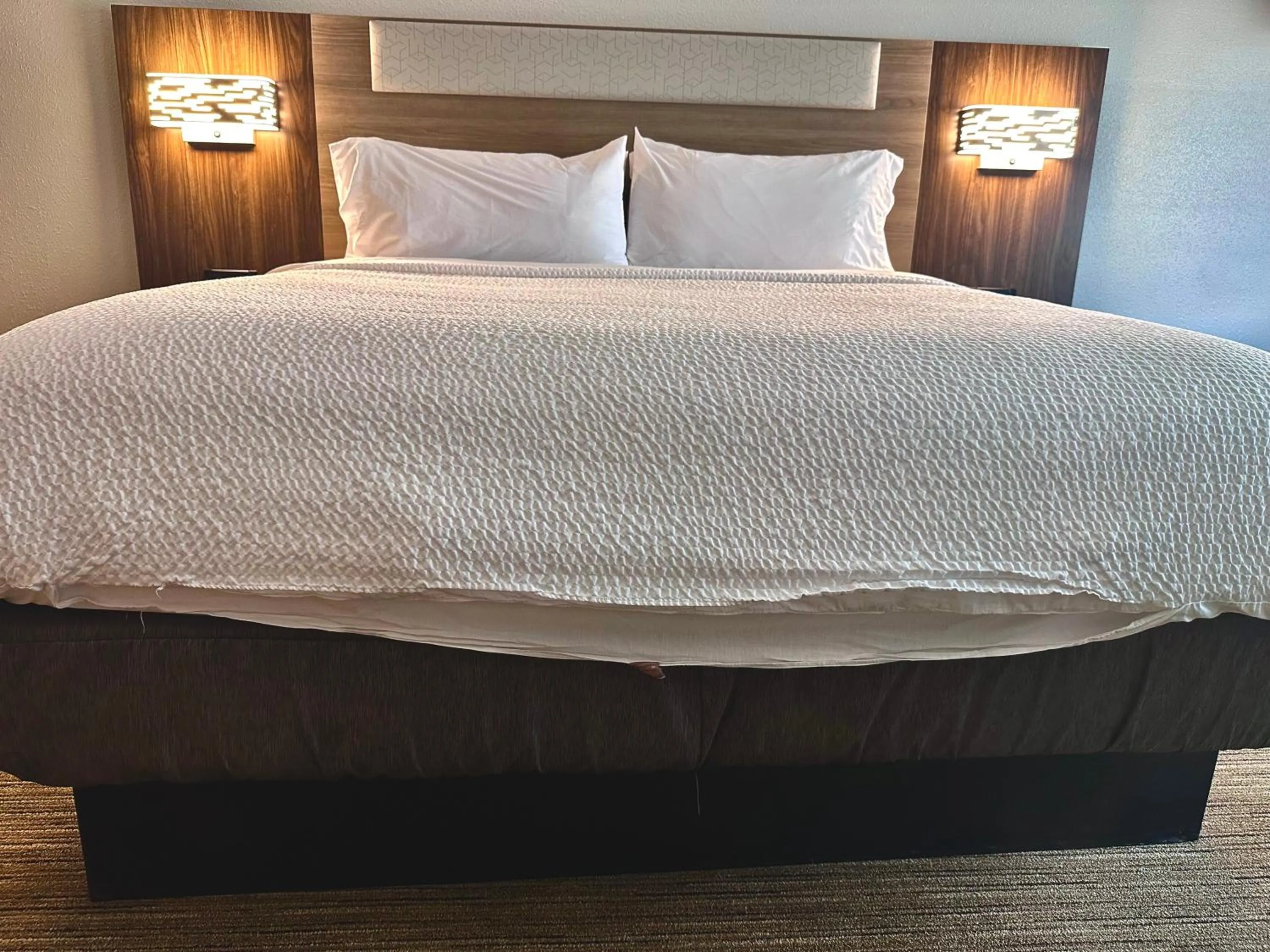 Bed in Holiday Inn Express Hotel & Suites Hinesville by IHG