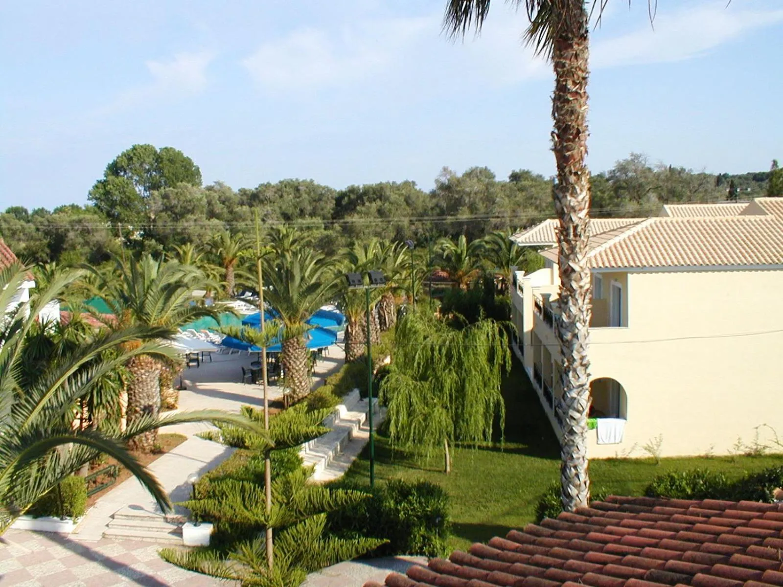 Garden view in Morfeas Hotel