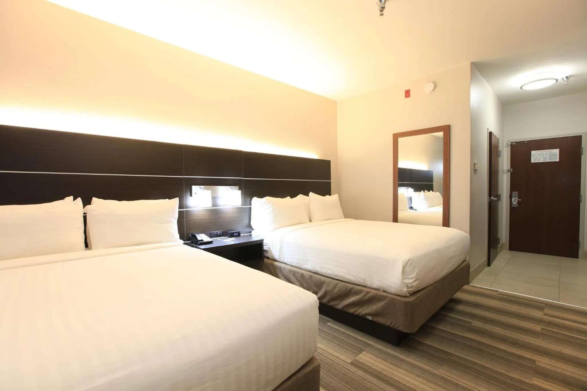 Photo of the whole room, Bed in Holiday Inn Express & Suites Chattanooga-Hixson by IHG