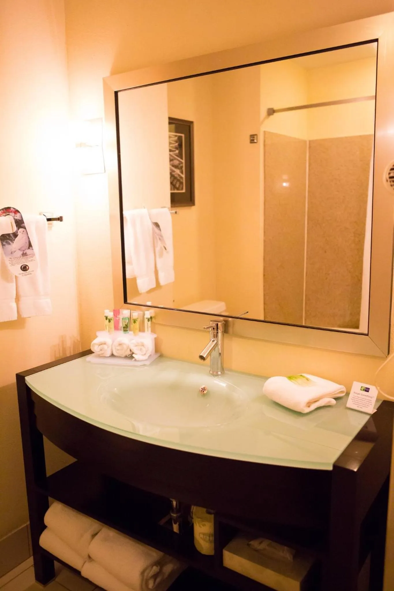 Bathroom in Holiday Inn Express & Suites Chattanooga-Hixson by IHG