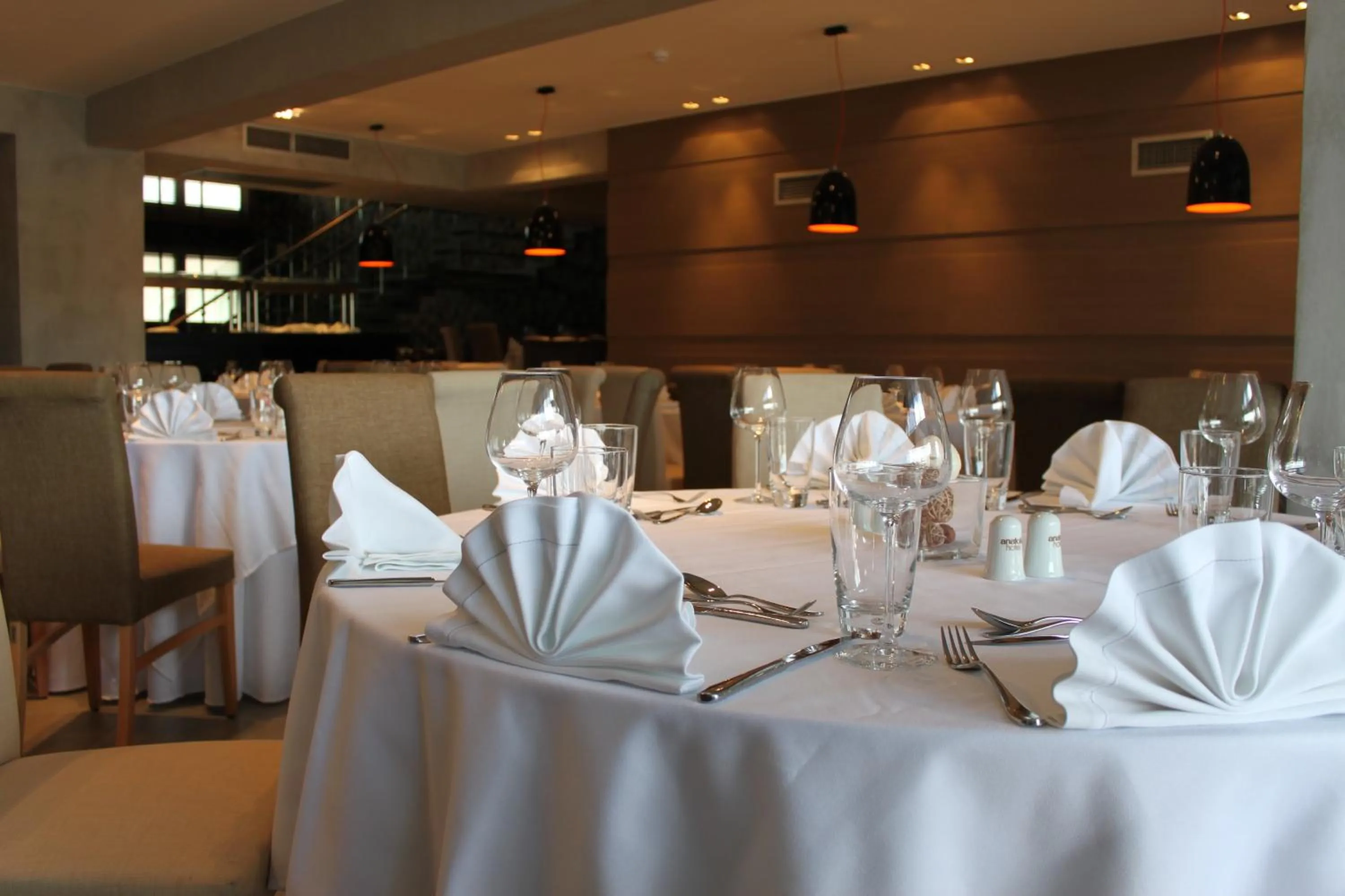 Banquet/Function facilities in Anatolia Hotel Komotini