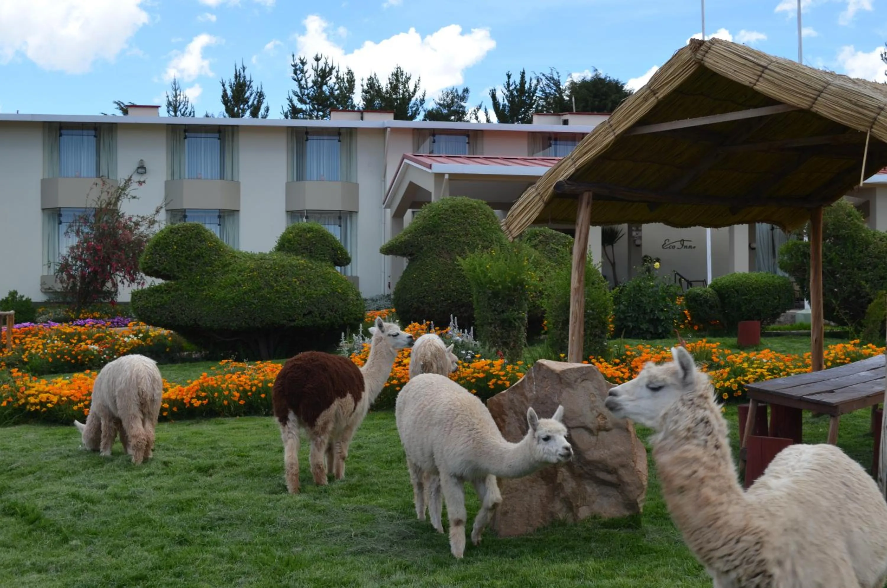 Facade/entrance in Xima Exclusive Puno