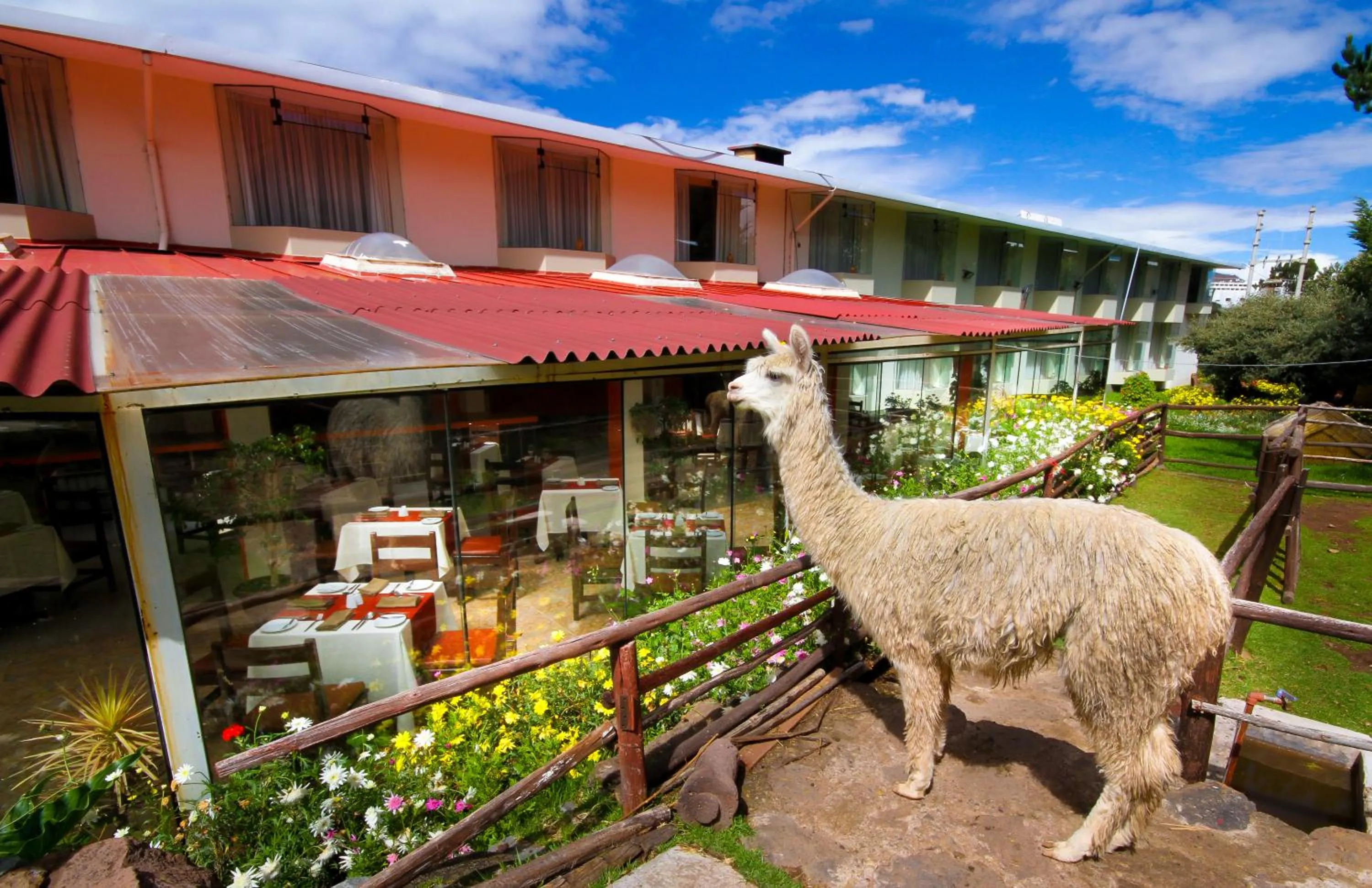 Entertainment in Xima Exclusive Puno