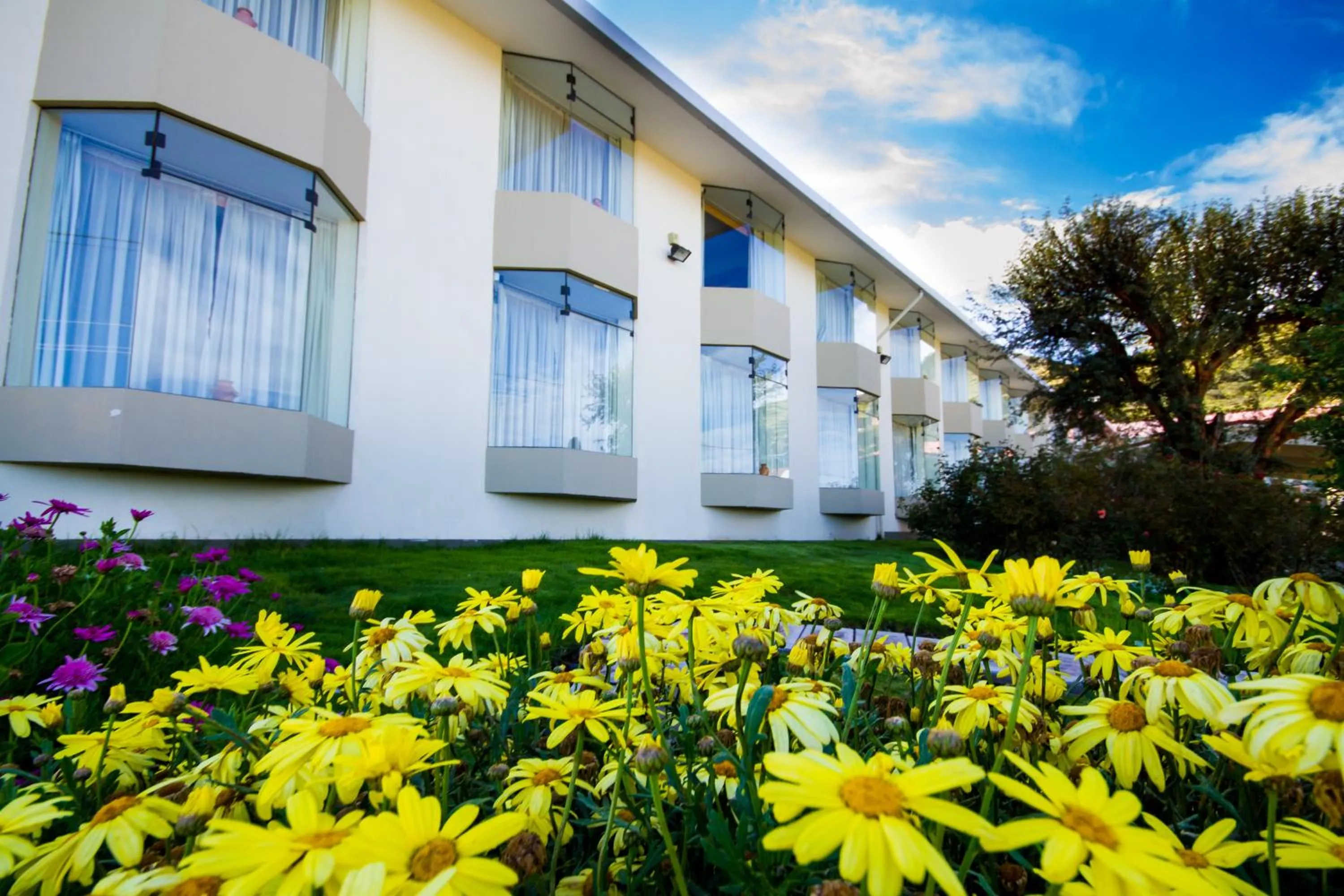 Activities, Property Building in Xima Exclusive Puno