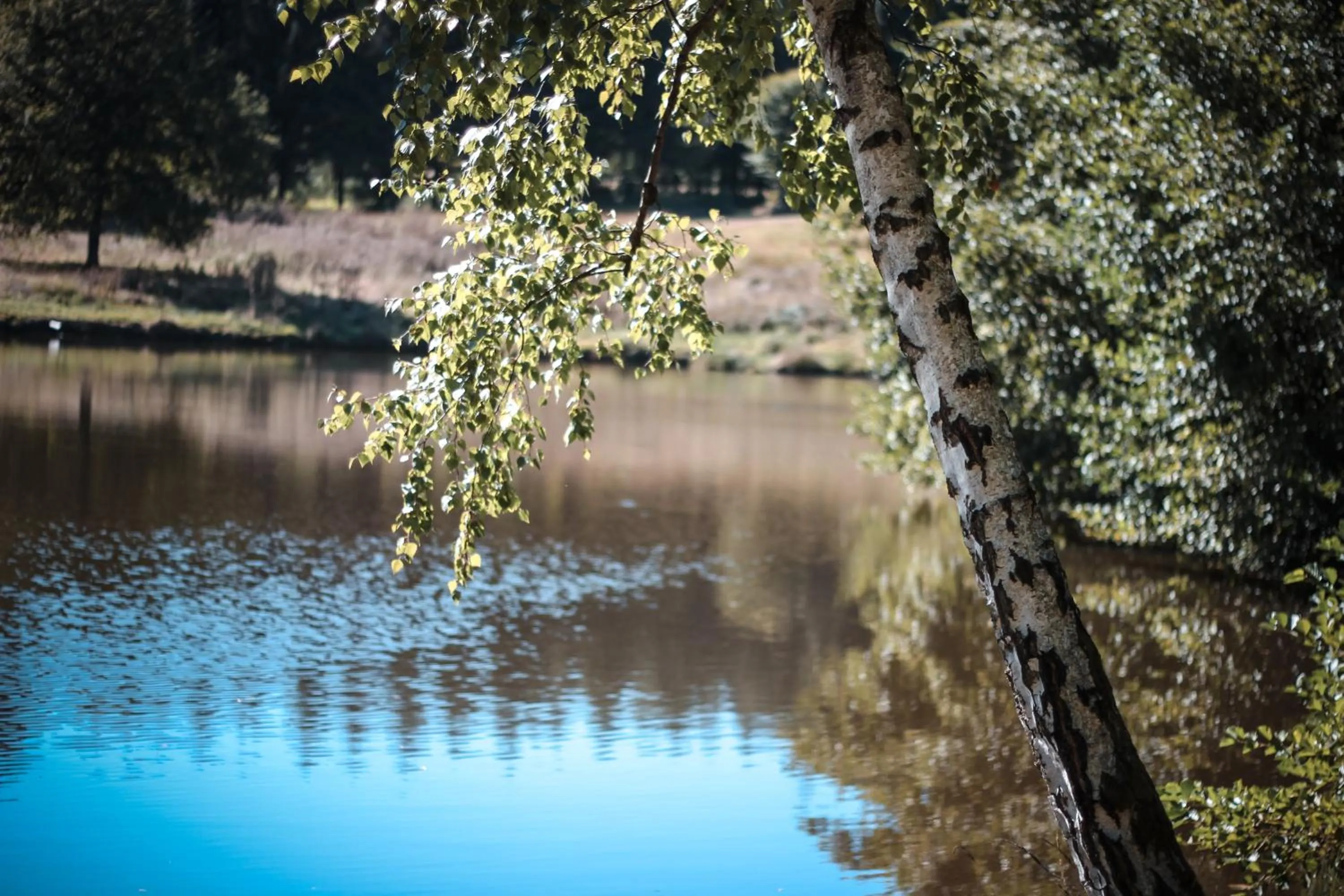 Natural landscape in La Chapelle Saint Martin