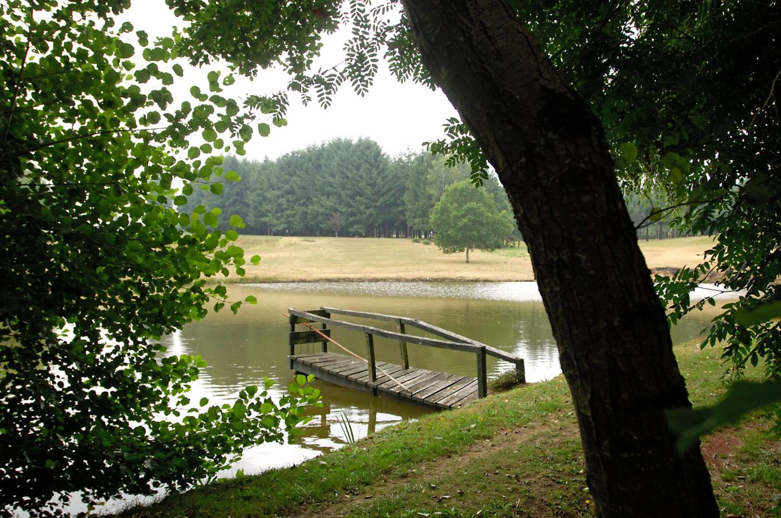 Garden in La Chapelle Saint Martin
