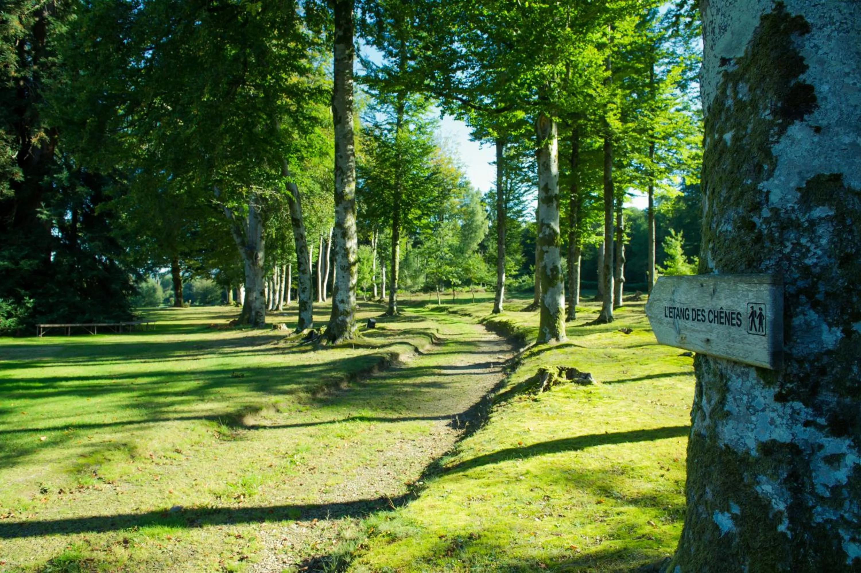Garden in La Chapelle Saint Martin