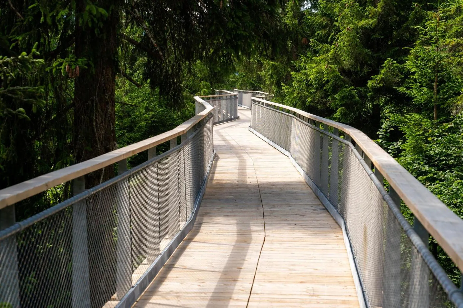 Natural landscape in signinahotel