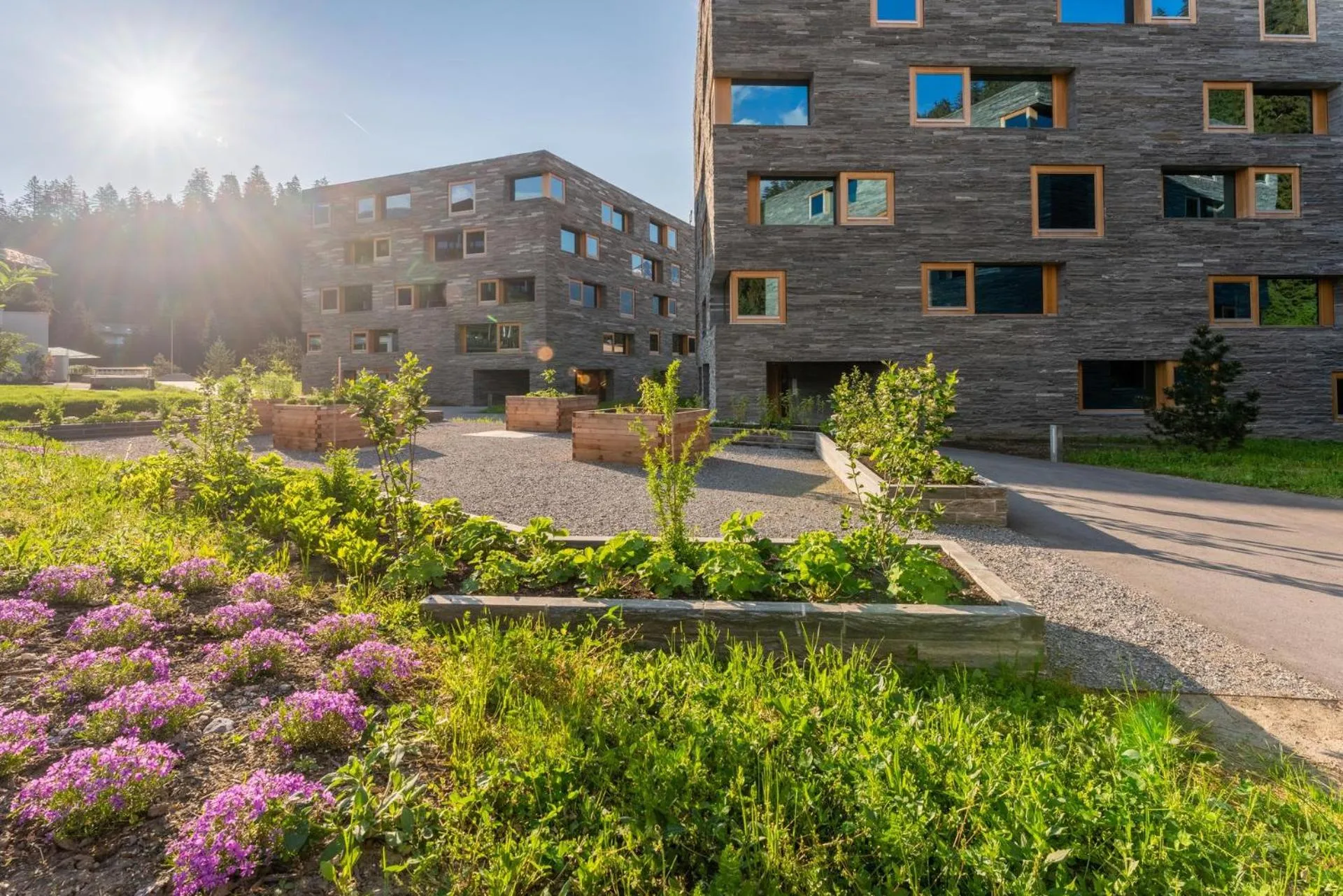 Property building in rocksresort