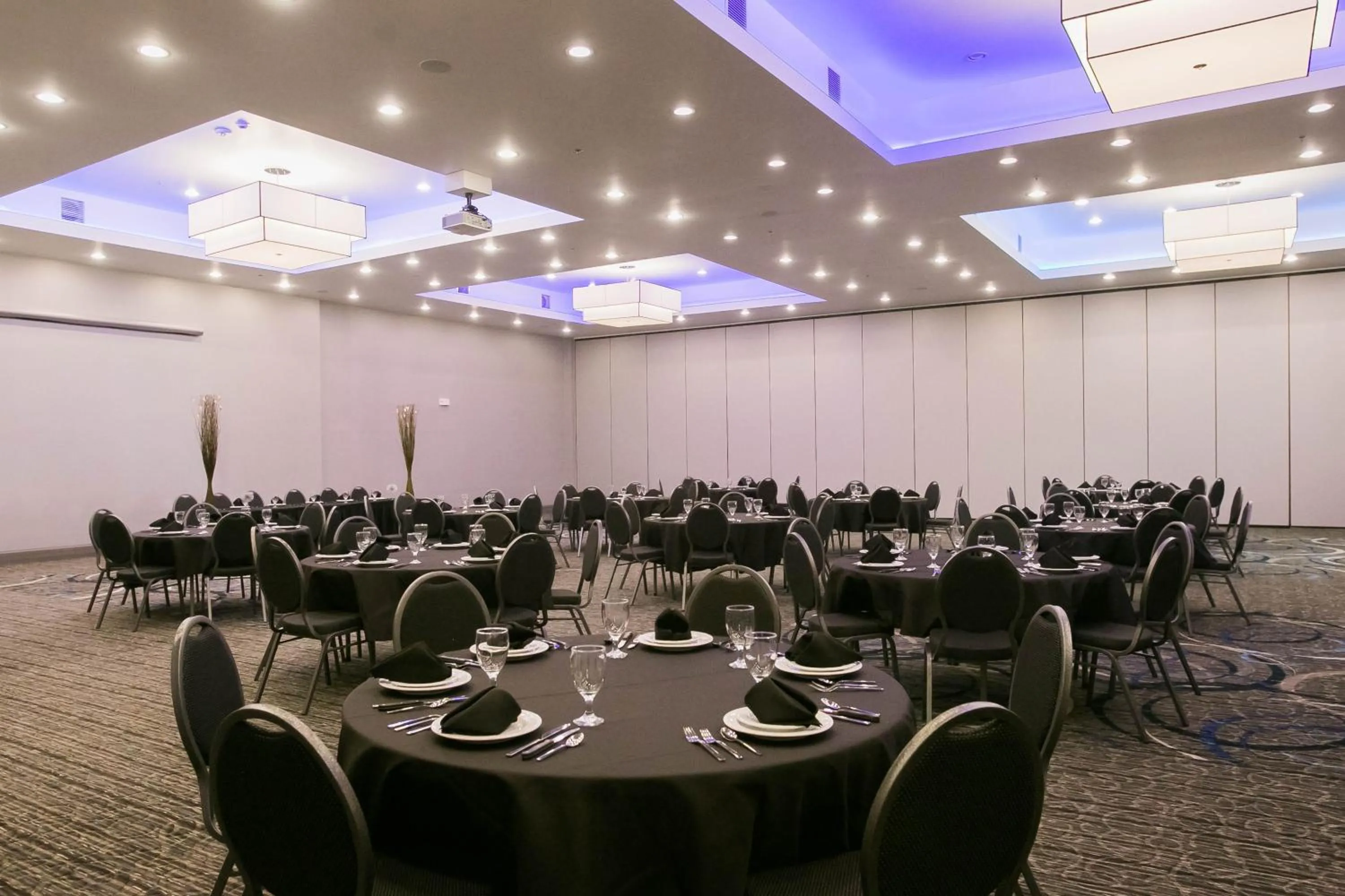 Banquet/Function facilities in Holiday Inn Longview - North by IHG