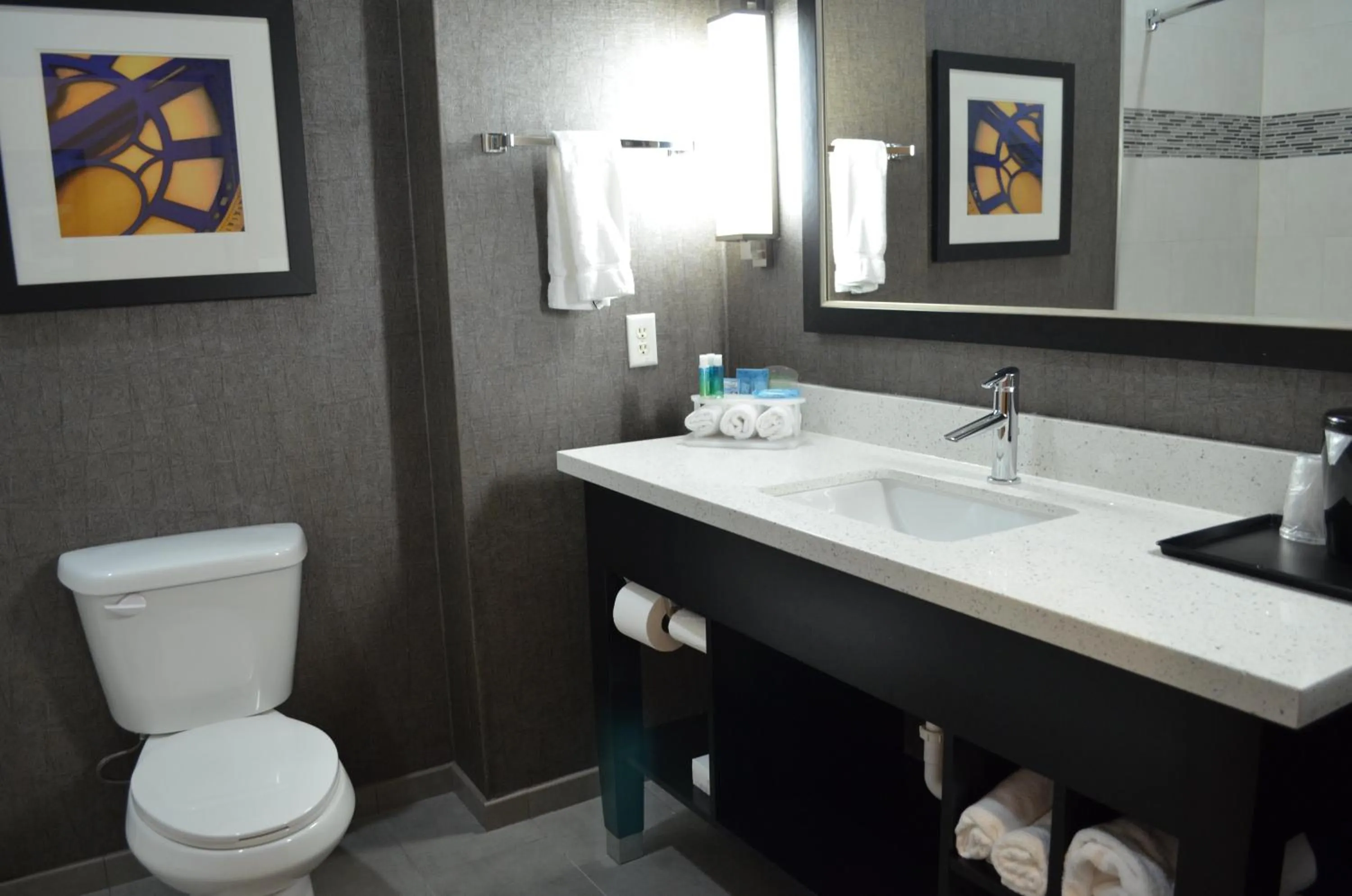 Bathroom in Holiday Inn Longview - North by IHG