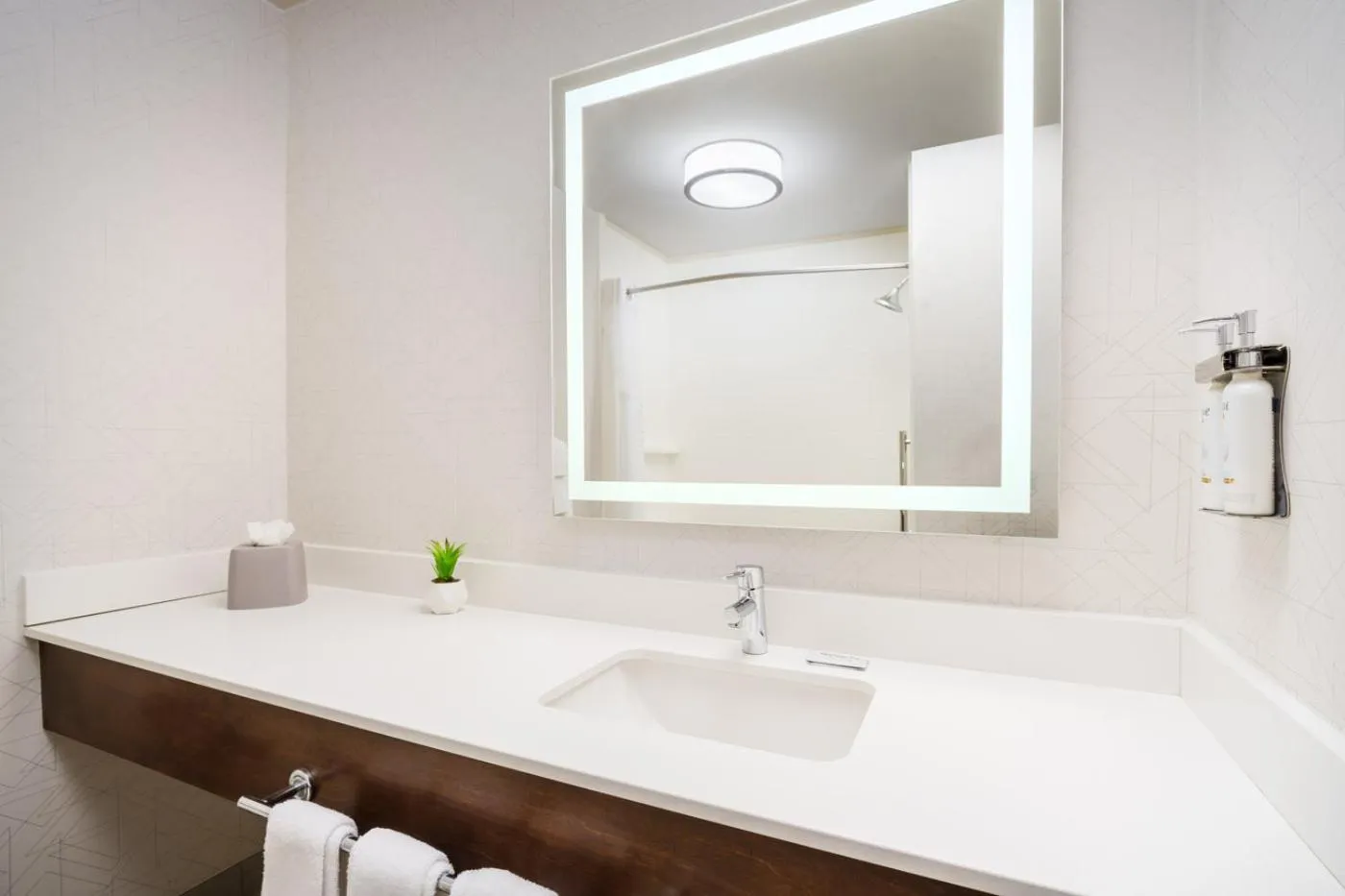 Bathroom in Holiday Inn Express Irondequoit by IHG